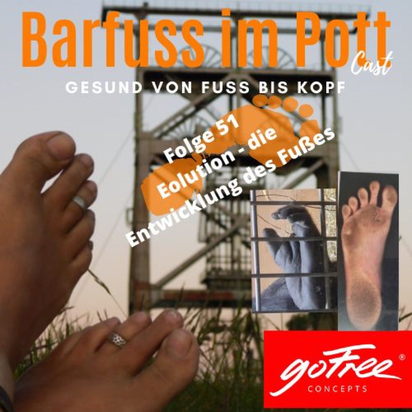 Evolution – die Entwicklung des Fußes