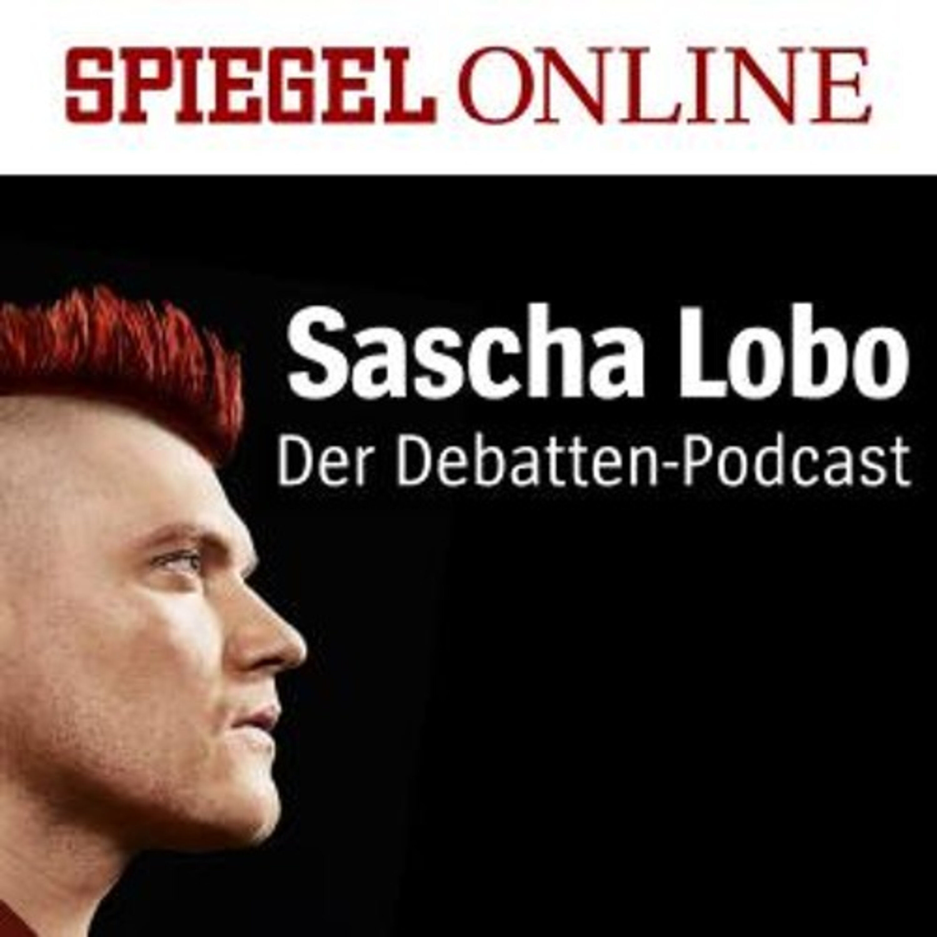 Ex-Chefs von BND und Verfassungsschutz zur "Videofalle" - Geheime Gefühle