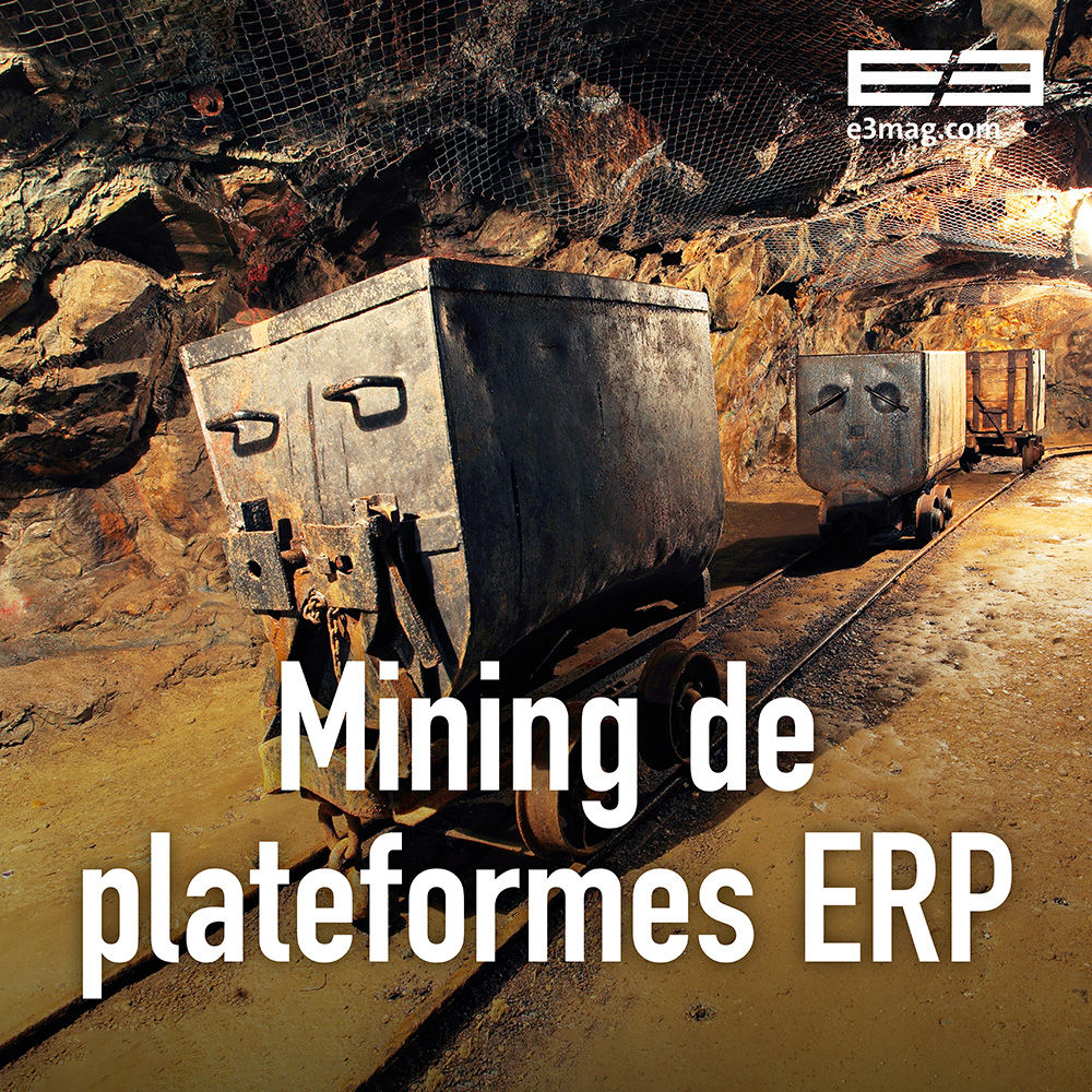 Exploration de la plate-forme ERP