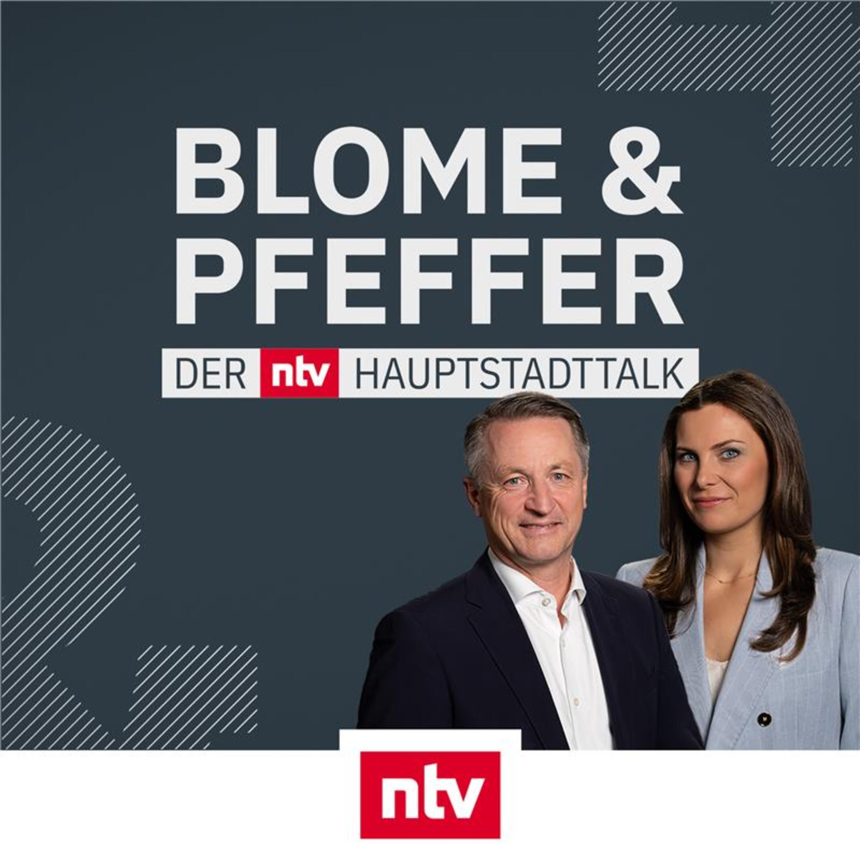 Fahimi und Kubicki: Steinmeiers Rede löst kontroverse Diskussion aus