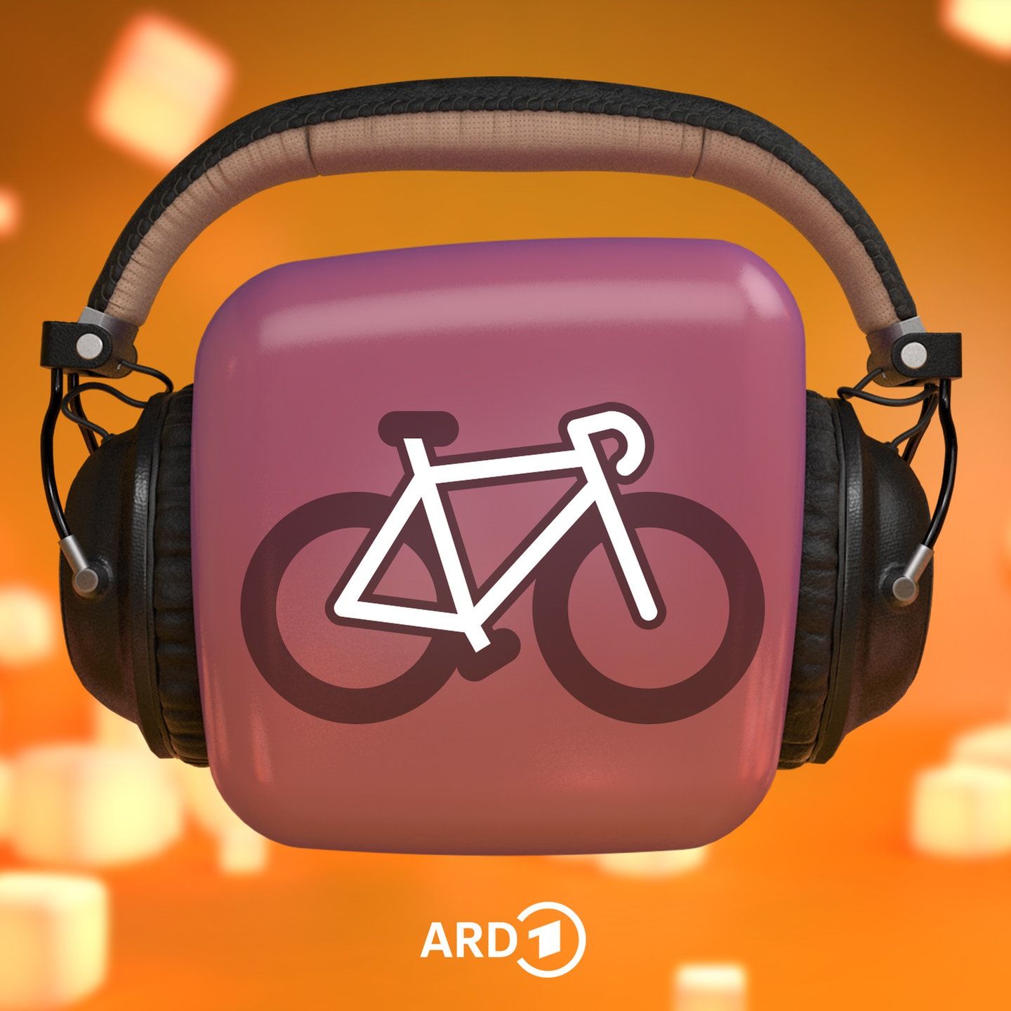 Fahrrad - Mountainbike oder Rennrad?