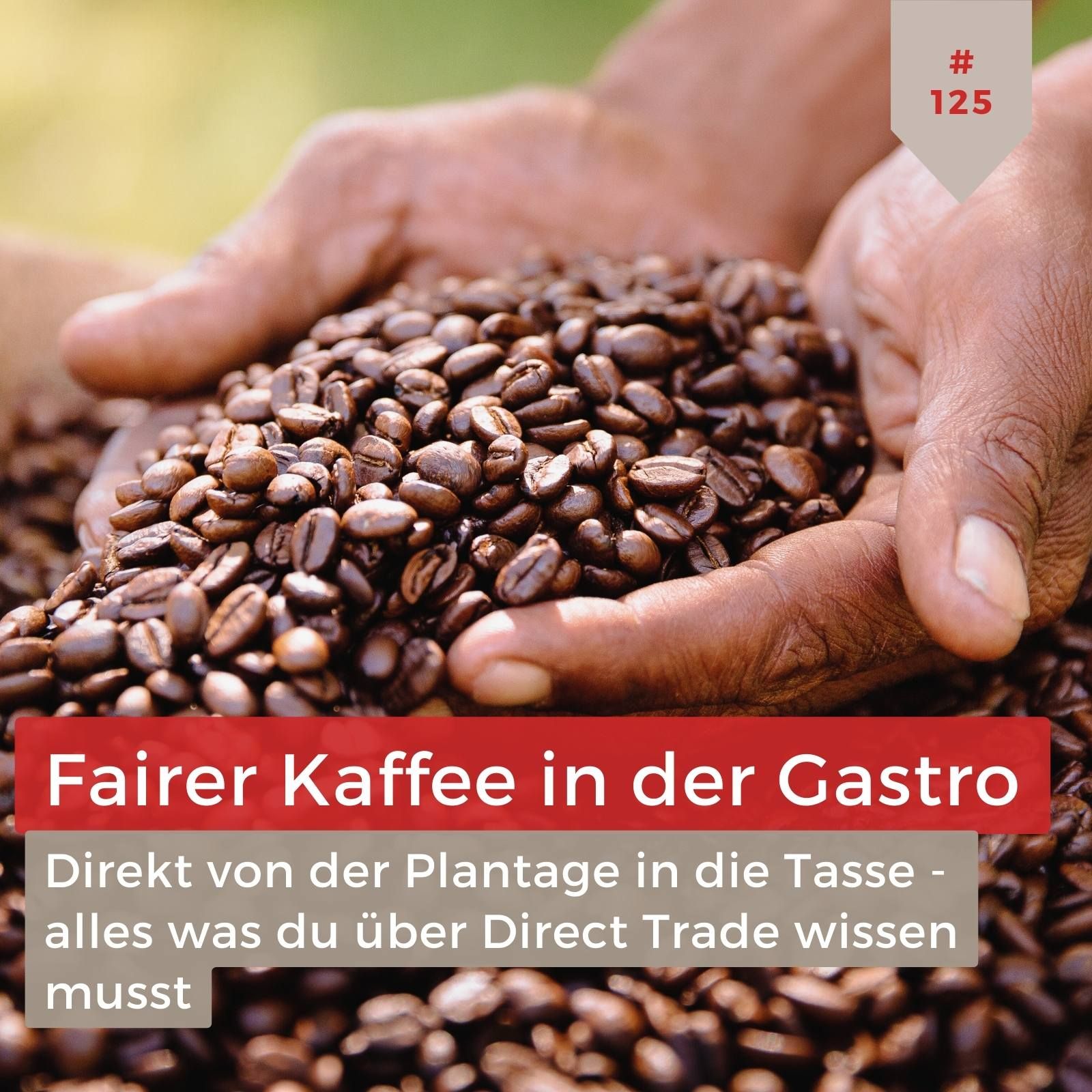 Fairer Kaffee in der Gastro: Von der Plantage direkt in deine Tasse
