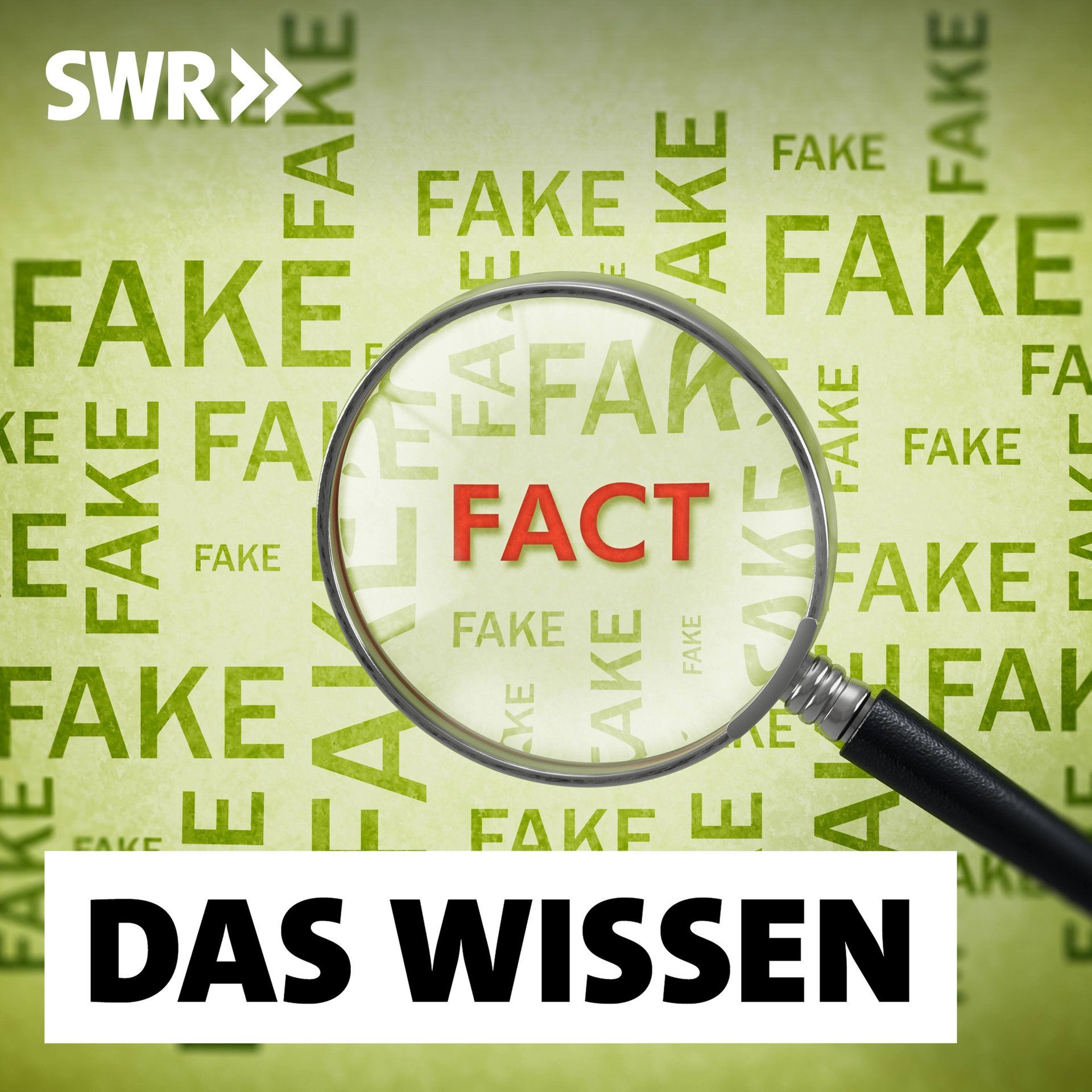 Fakt oder Fake – Wie wir Desinformation erkennen können