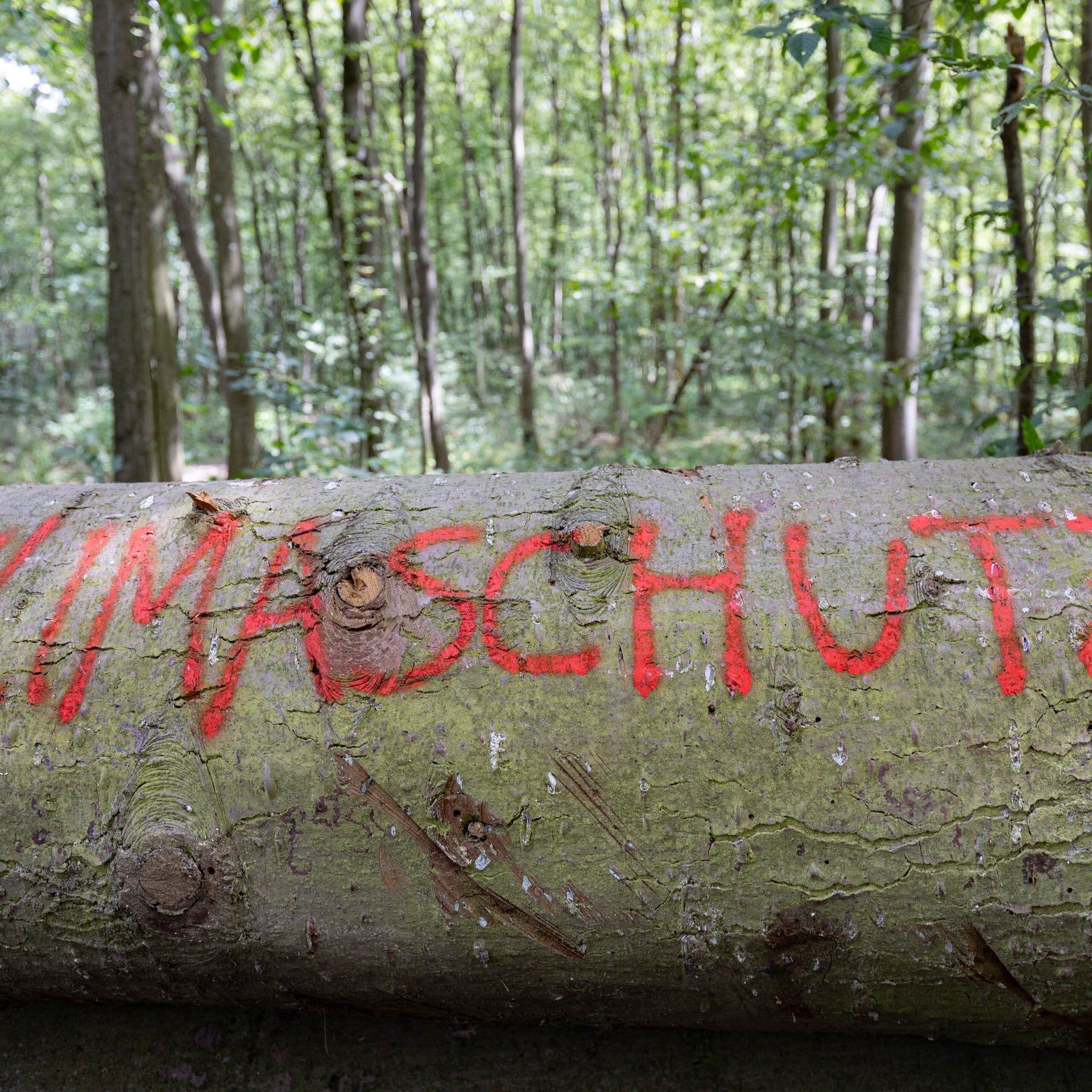 Faktencheck: Fünf Klima-Mythen entlarvt