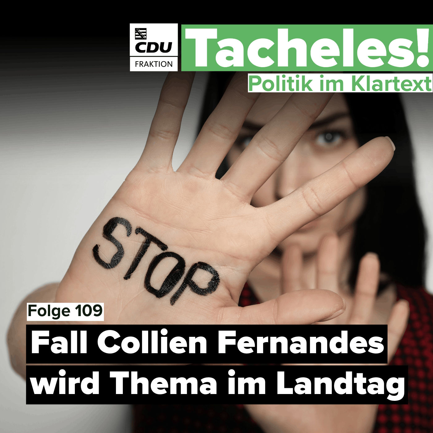 Fall Collien Fernandes wird Thema im Landtag