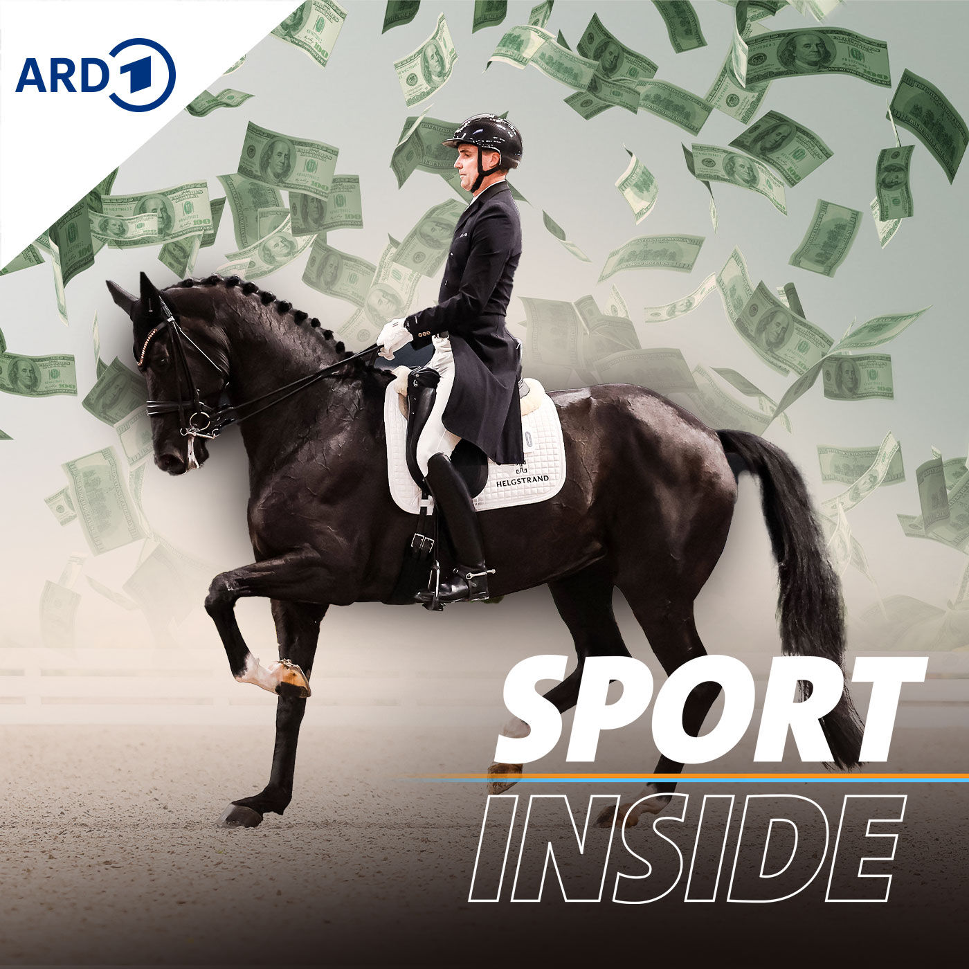 Fall Helgstrand - Schmutziges Millionengeschäft mit Sportpferden