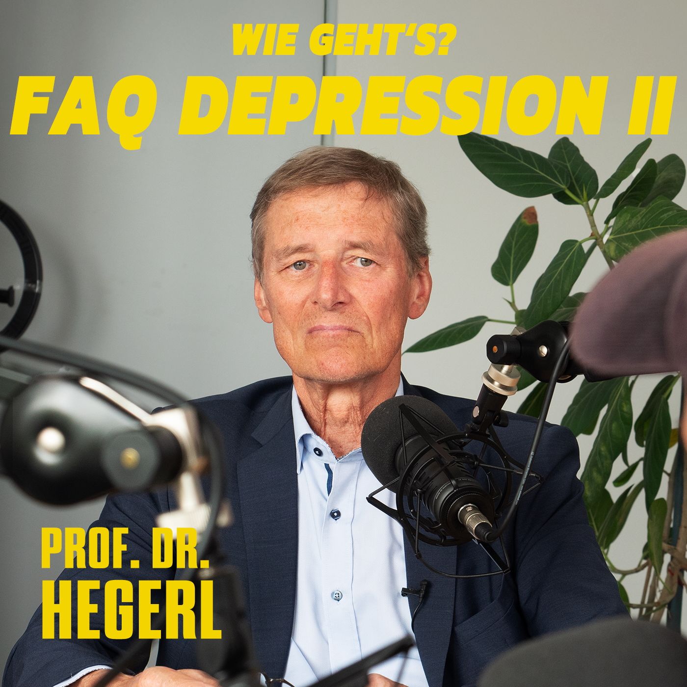 FAQ Depression mit Prof. Dr. Hegerl - Sonderfolge 2
