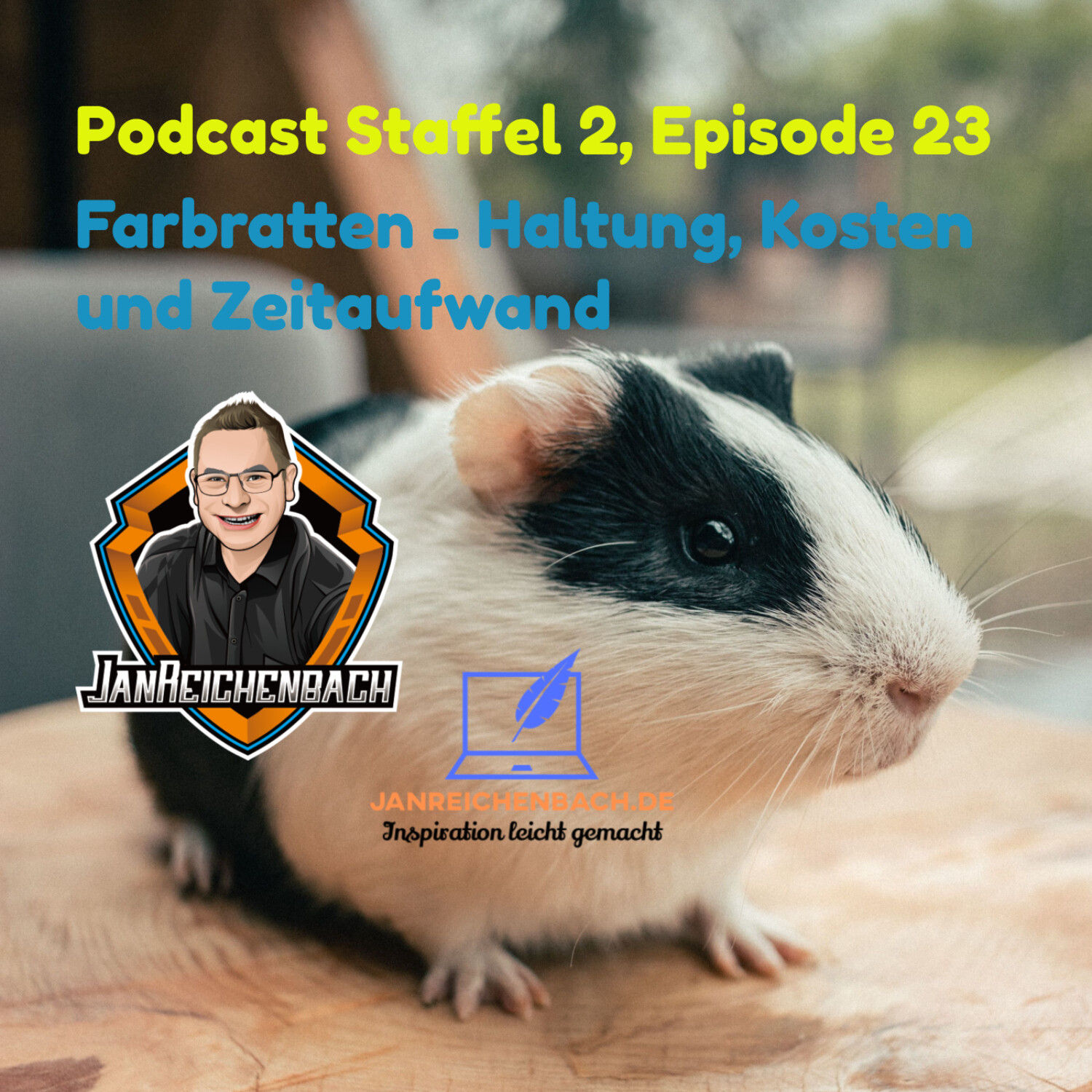 Farbratten - Haltung, Kosten und Zeitaufwand