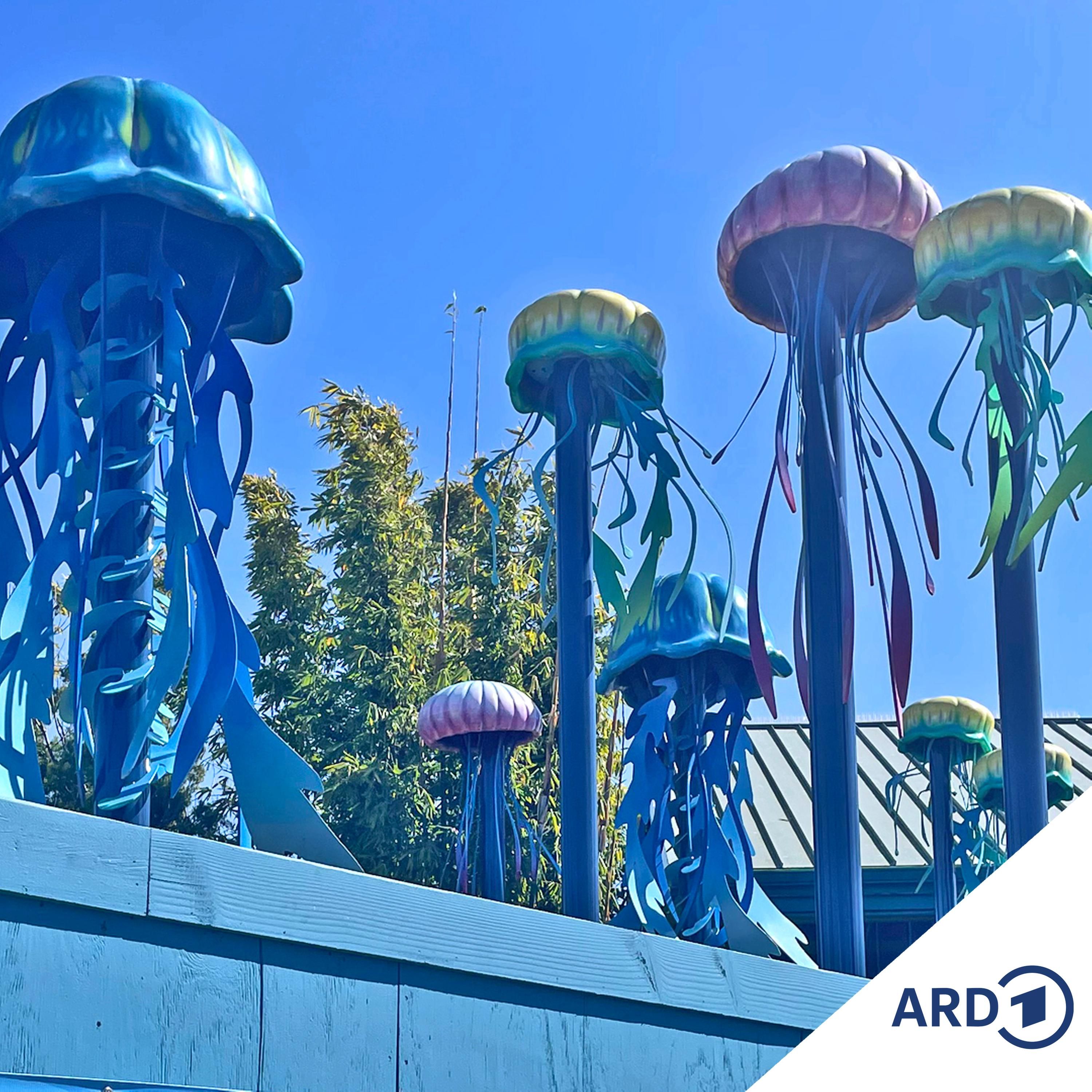 Fast schon Mexiko - San Diego im Süden Kaliforniens