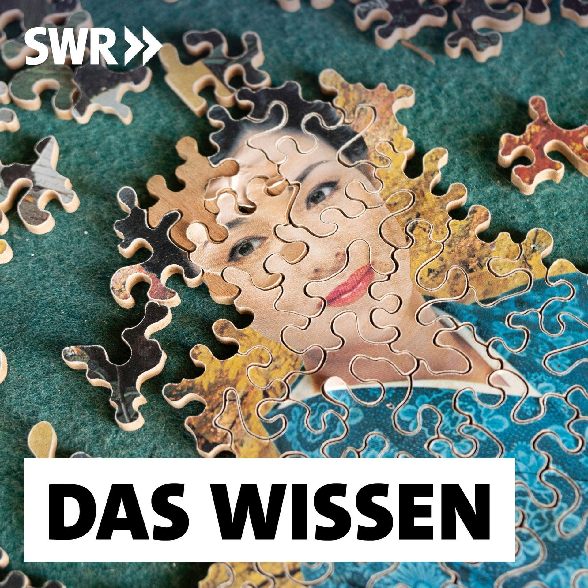 Faszination Puzzle – Spielend Gedächtnis und Geduld trainieren