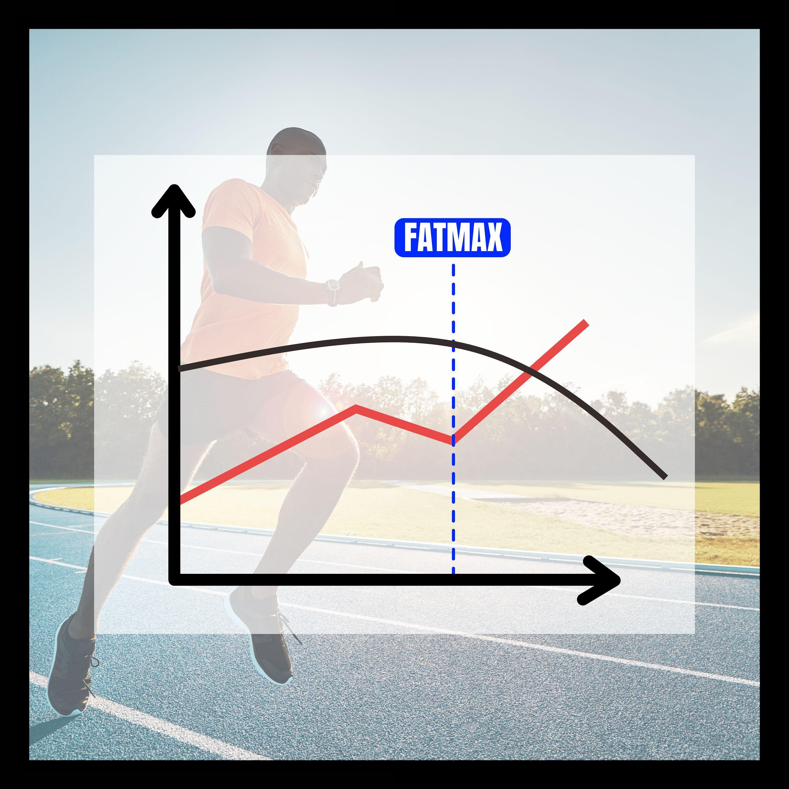 FatMax im Fokus - Ausdauer neu gedacht - MTP Folge 139