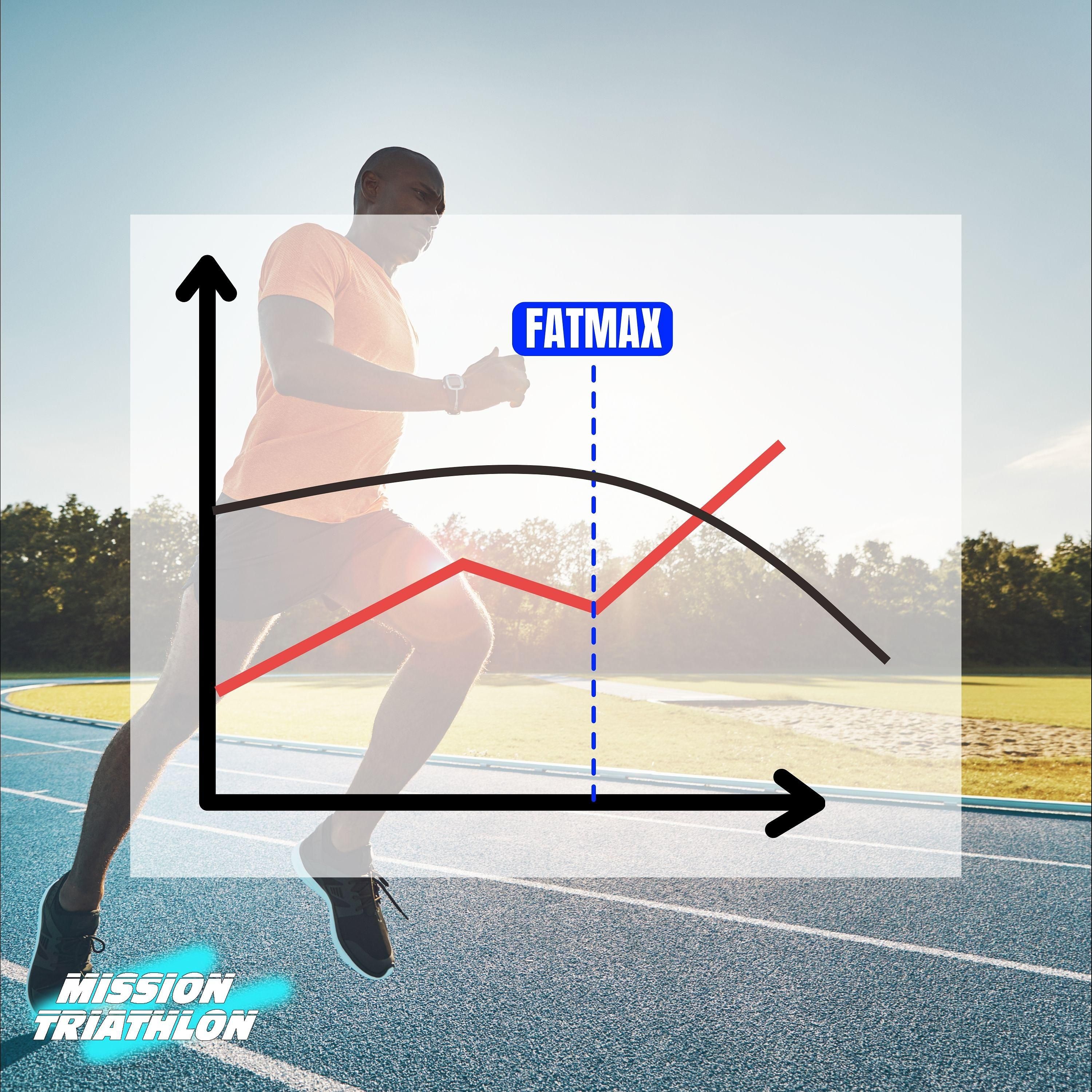 FatMax im Fokus - Ausdauer neu gedacht - MTP Folge 139