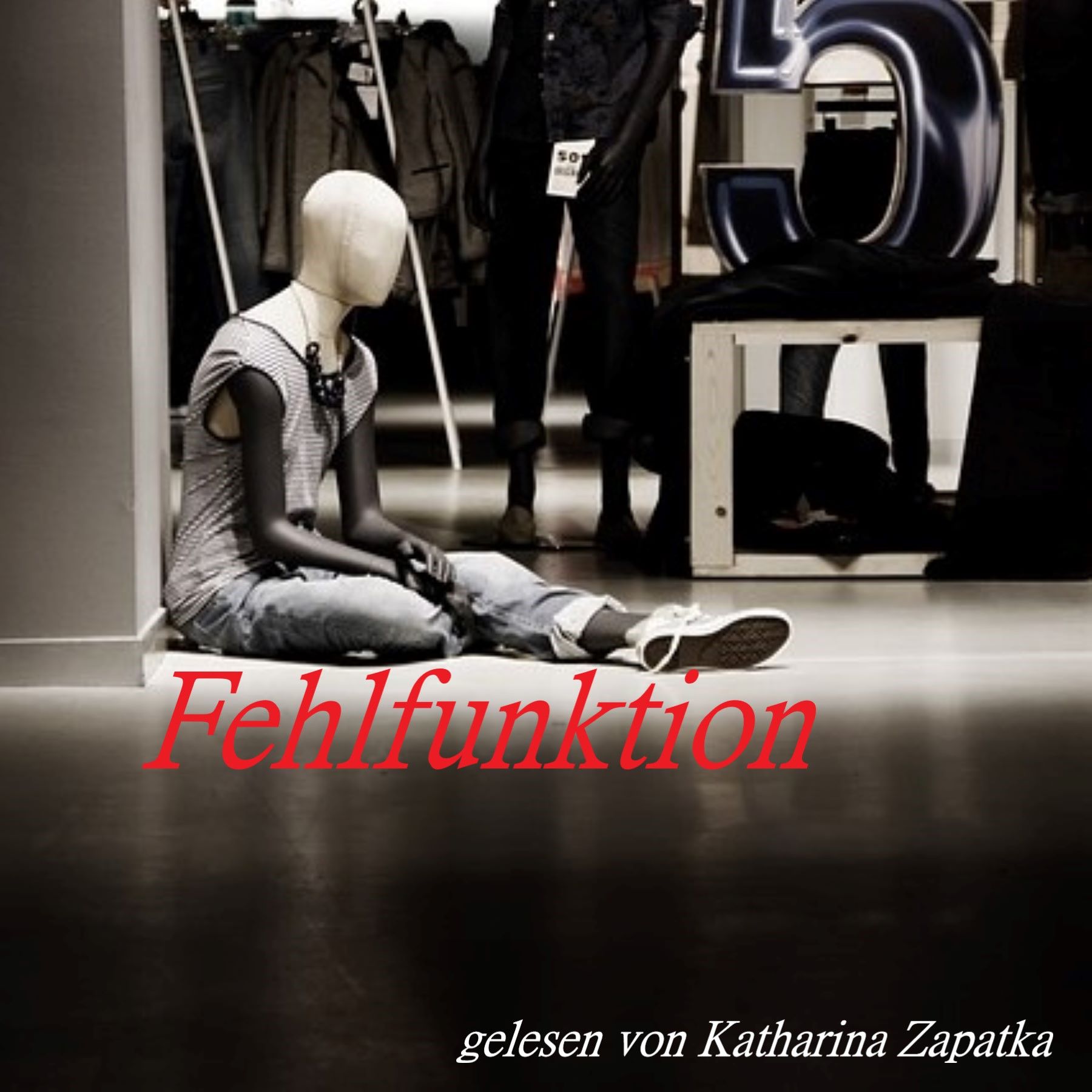Fehlfunktion