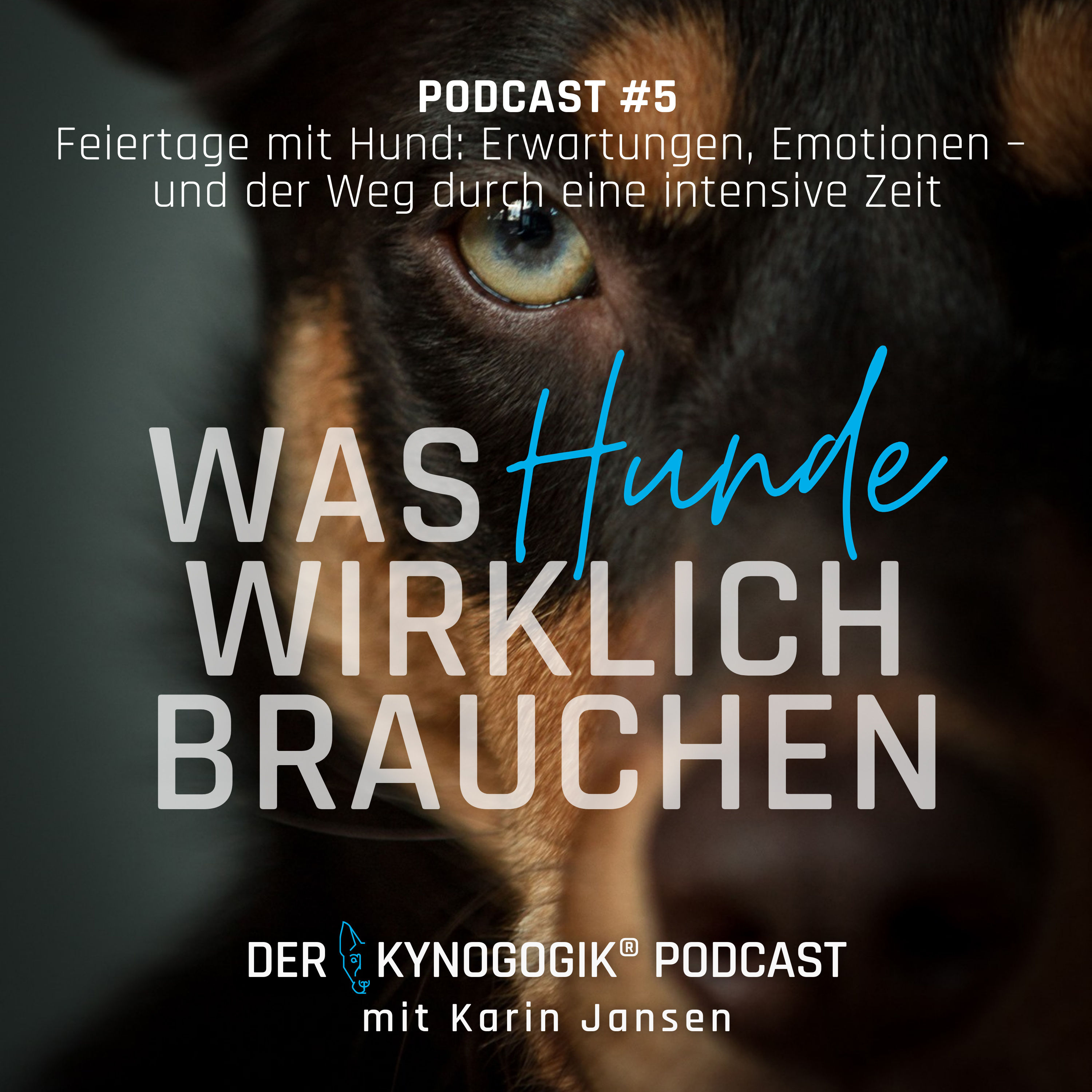 Feiertage mit Hund:
