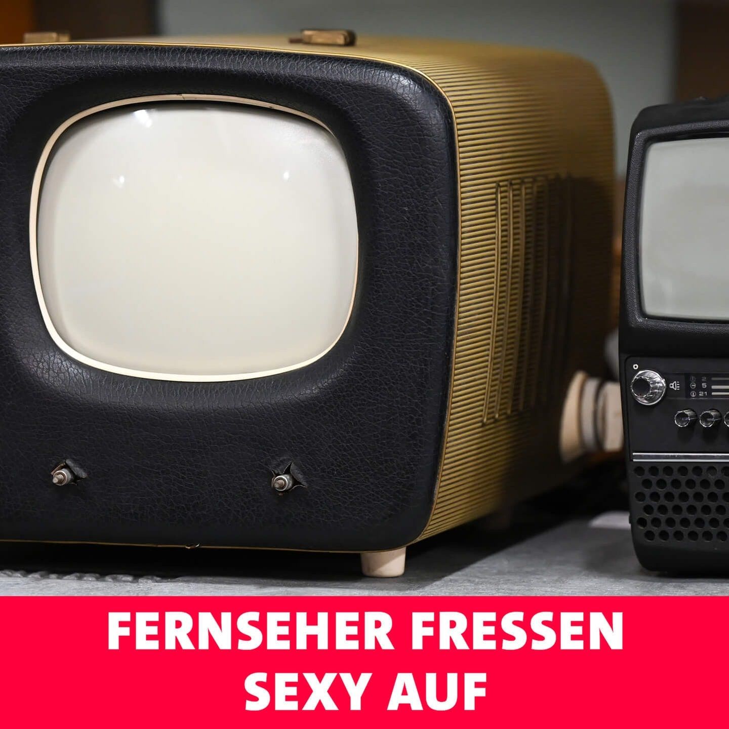 Fernseher fressen sexy auf
