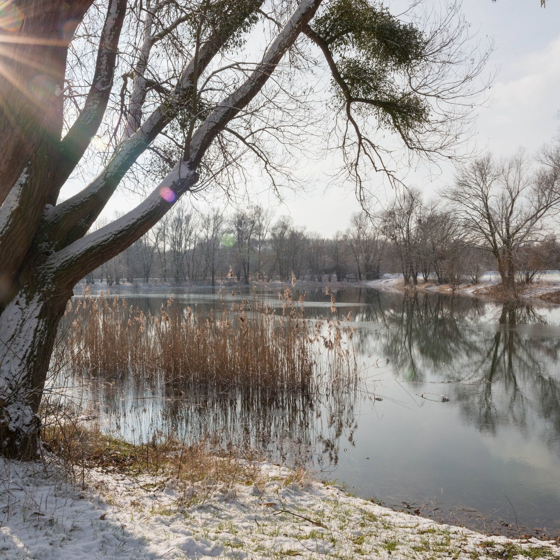 Feuchtgebiete – Wichtig für Klima und Artenvielfalt