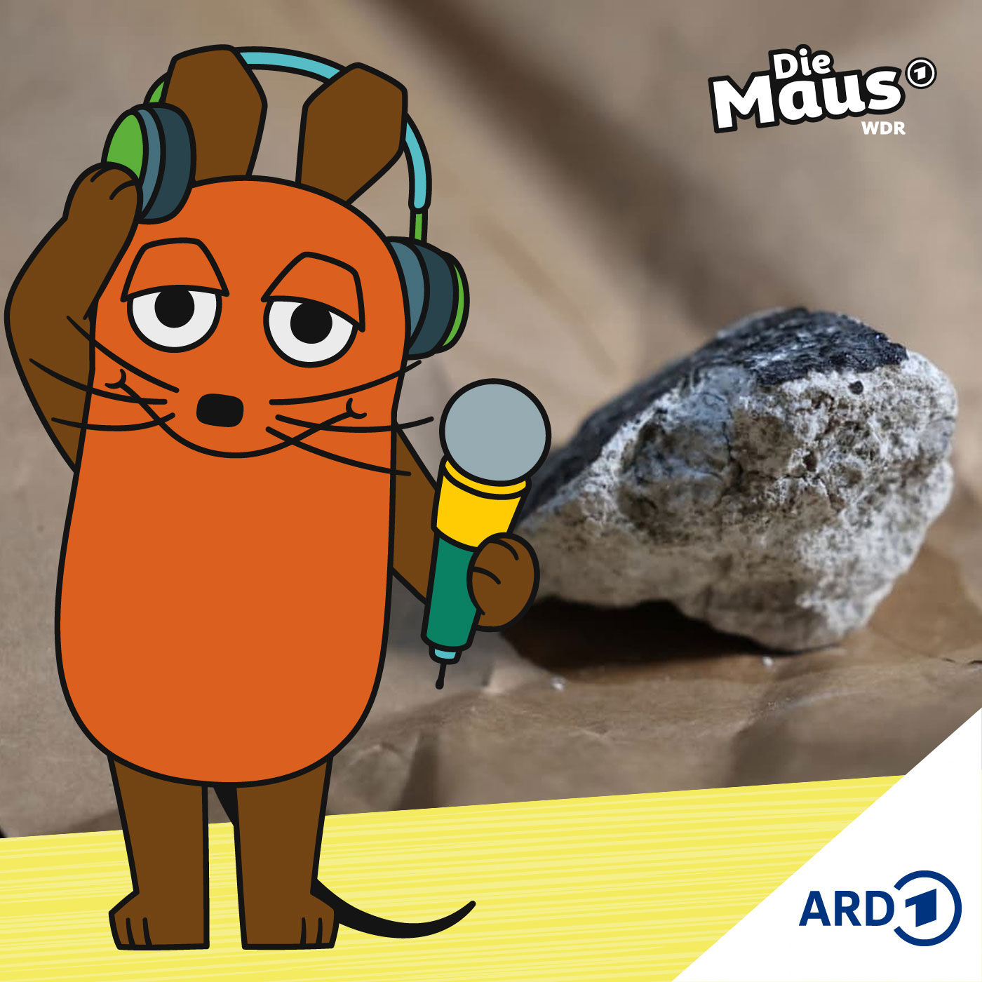 Feuerball am Himmel: Meteorit landet in Deutschland