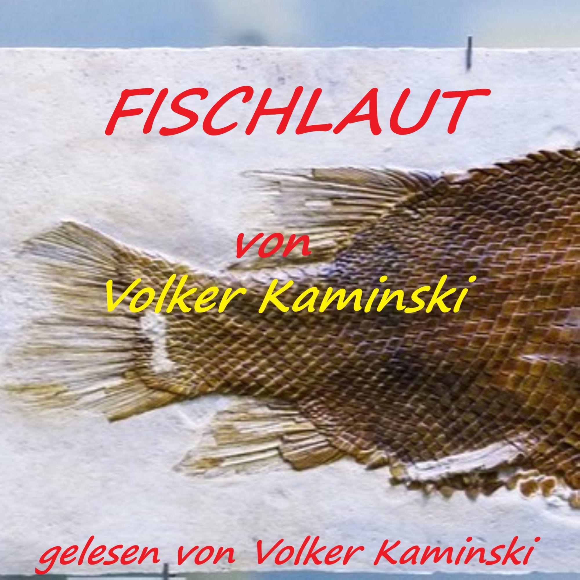 Fischlaut