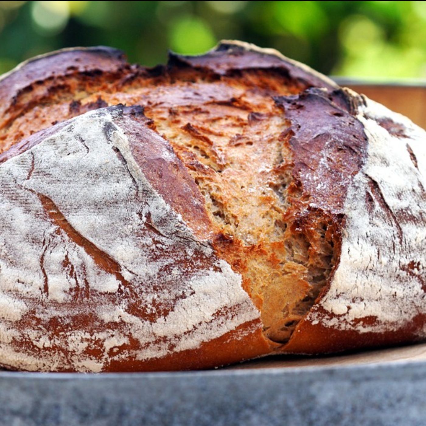 Fit und Schlank mit Brot
