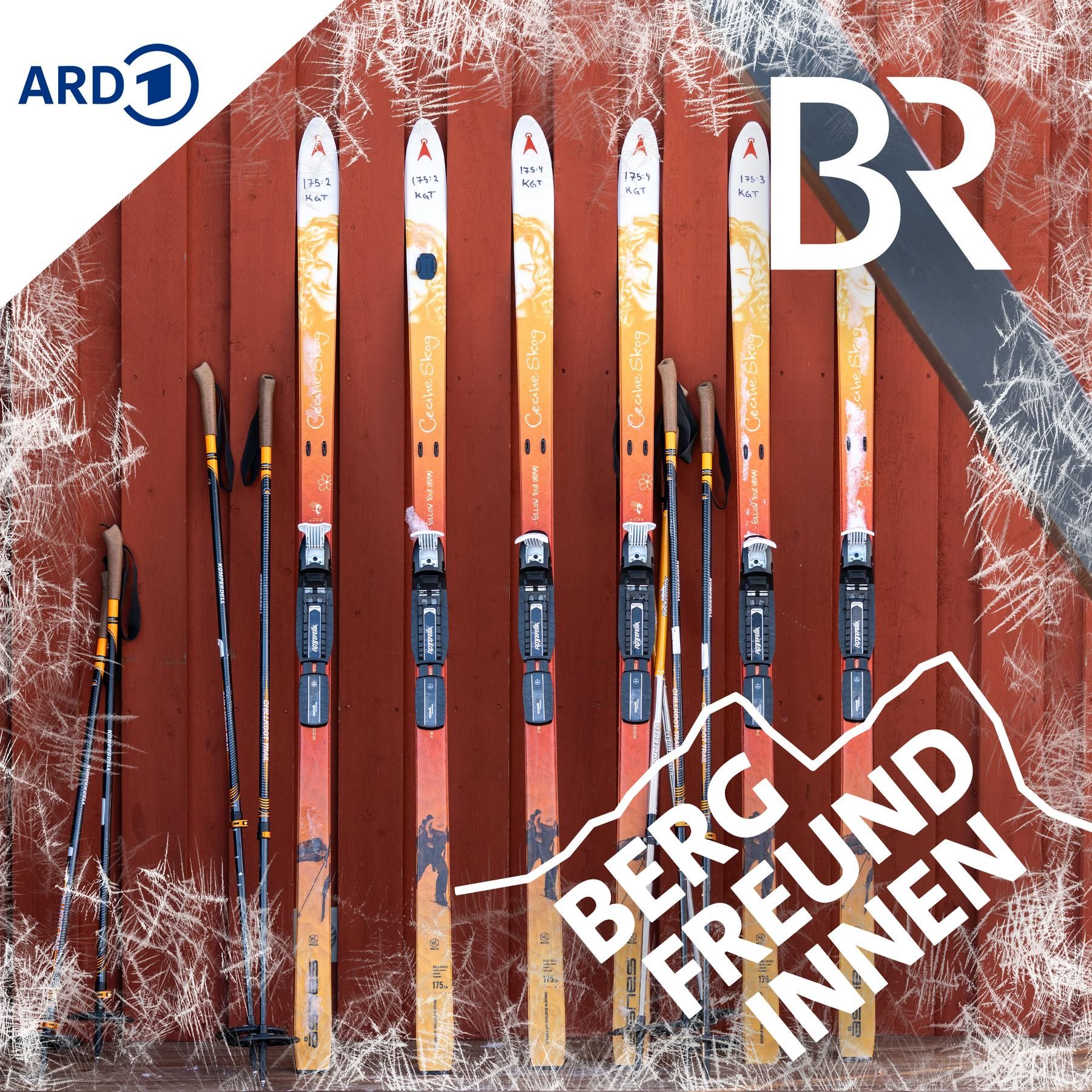 Fjellski, Pulka & Co. - alles was ihr fürs Skitrekking wissen müsst! | Expedition Skandinavien | Service