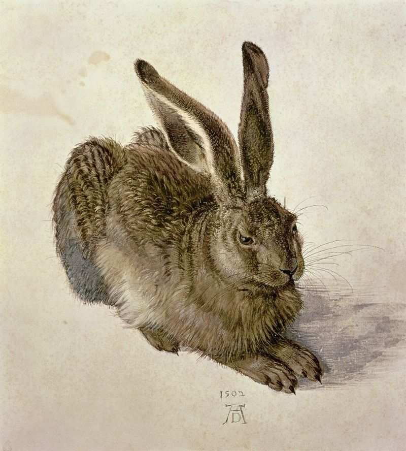 Flea Market to Fortune - Albrecht Dürer