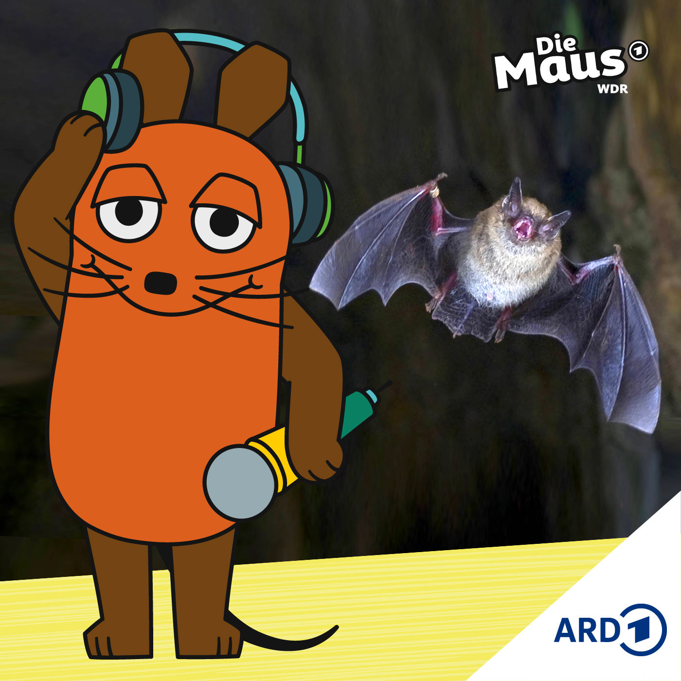 Fledermäuse können gut teilen