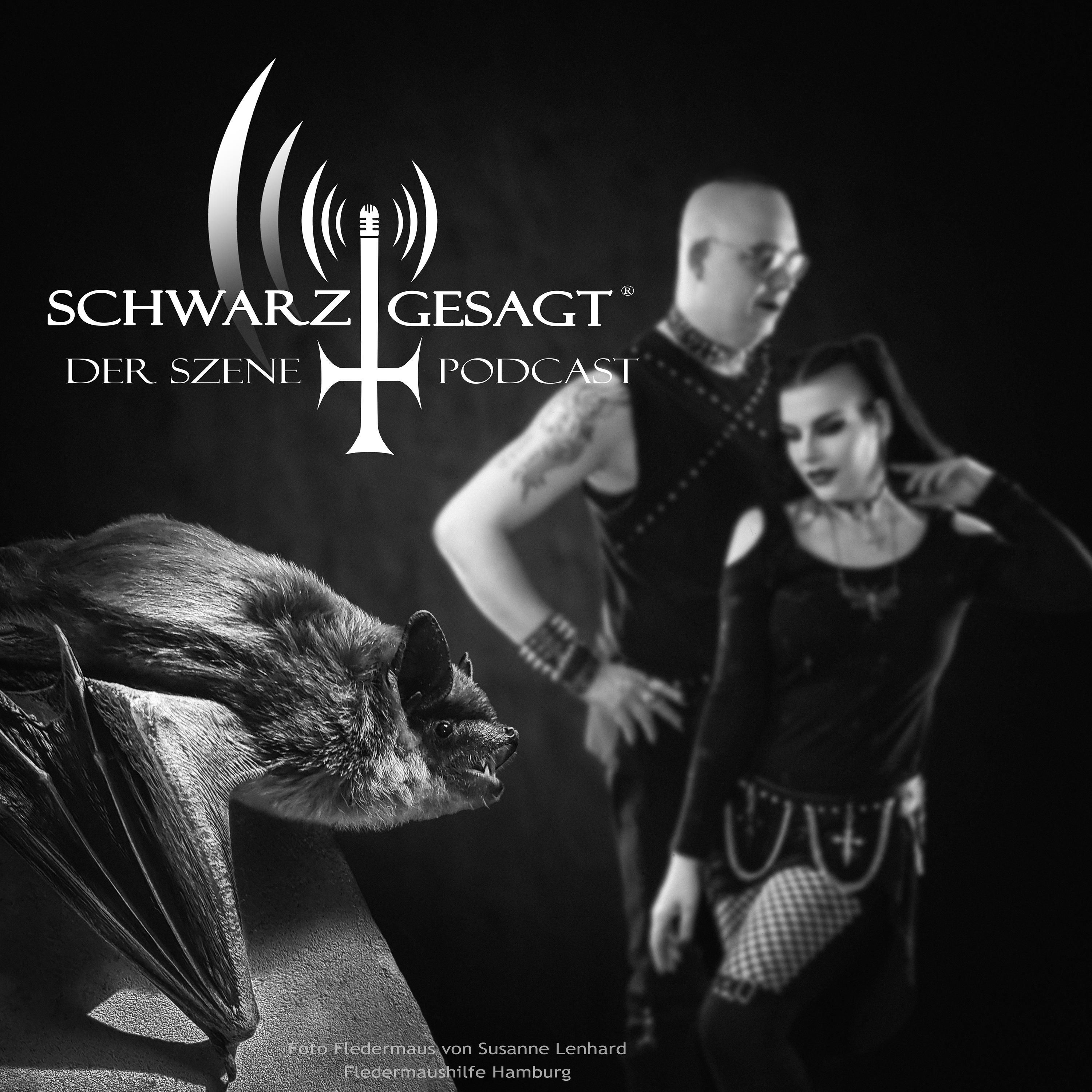 Fledermaushilfe Hamburg: Wer schützt unsere Szene-Maskottchen?