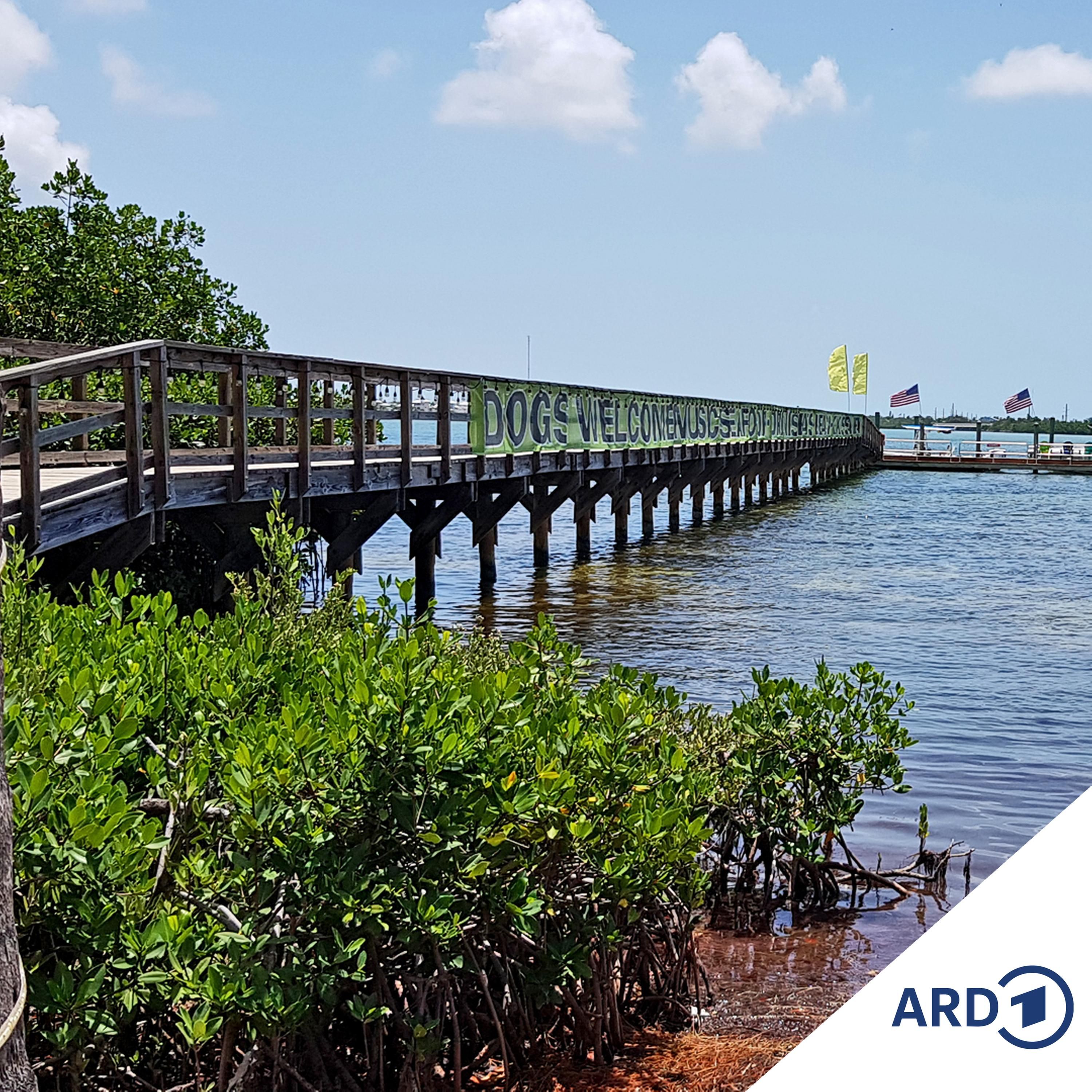 Florida - mal etwas anders