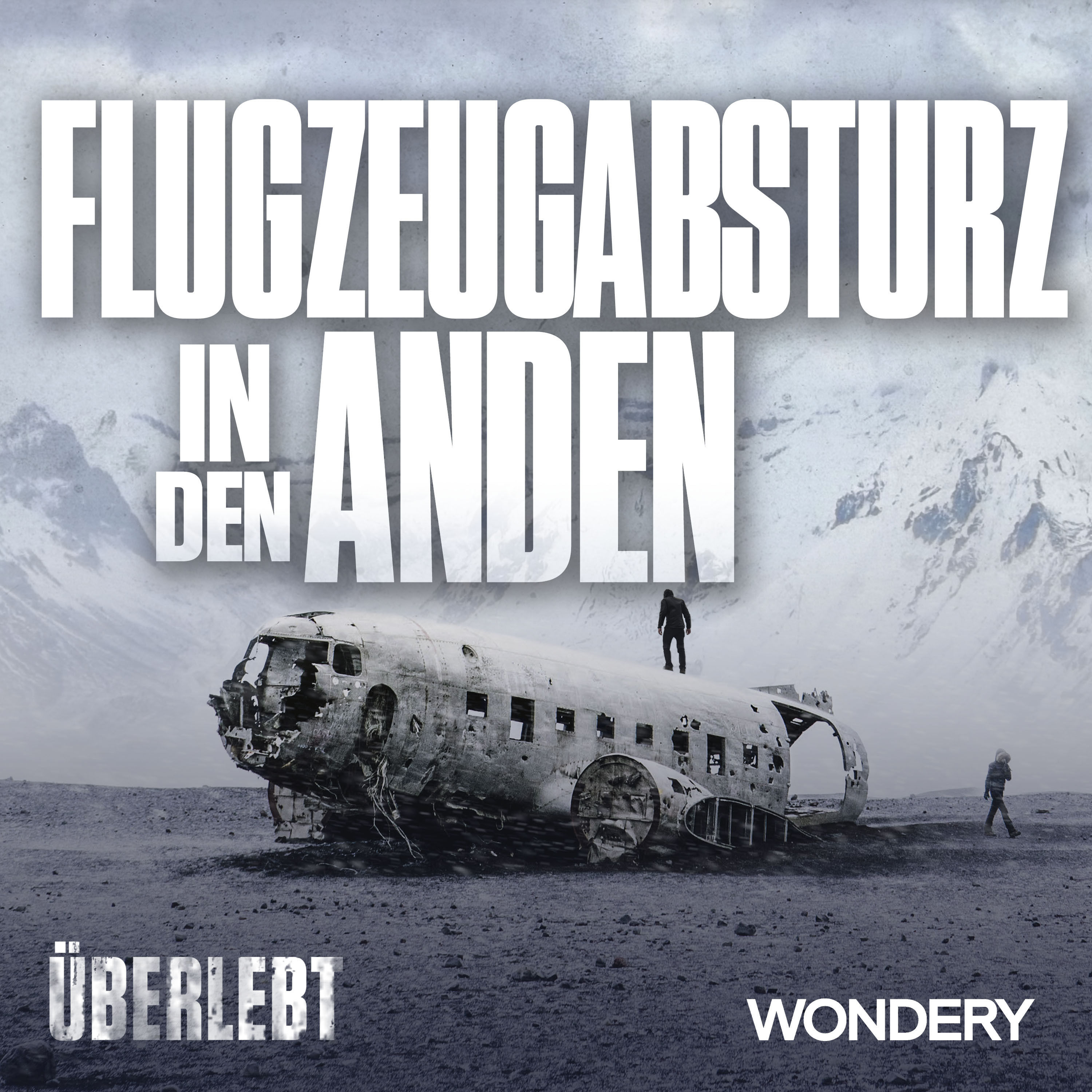 Flugzeugabsturz in den Anden | Rettung | 4