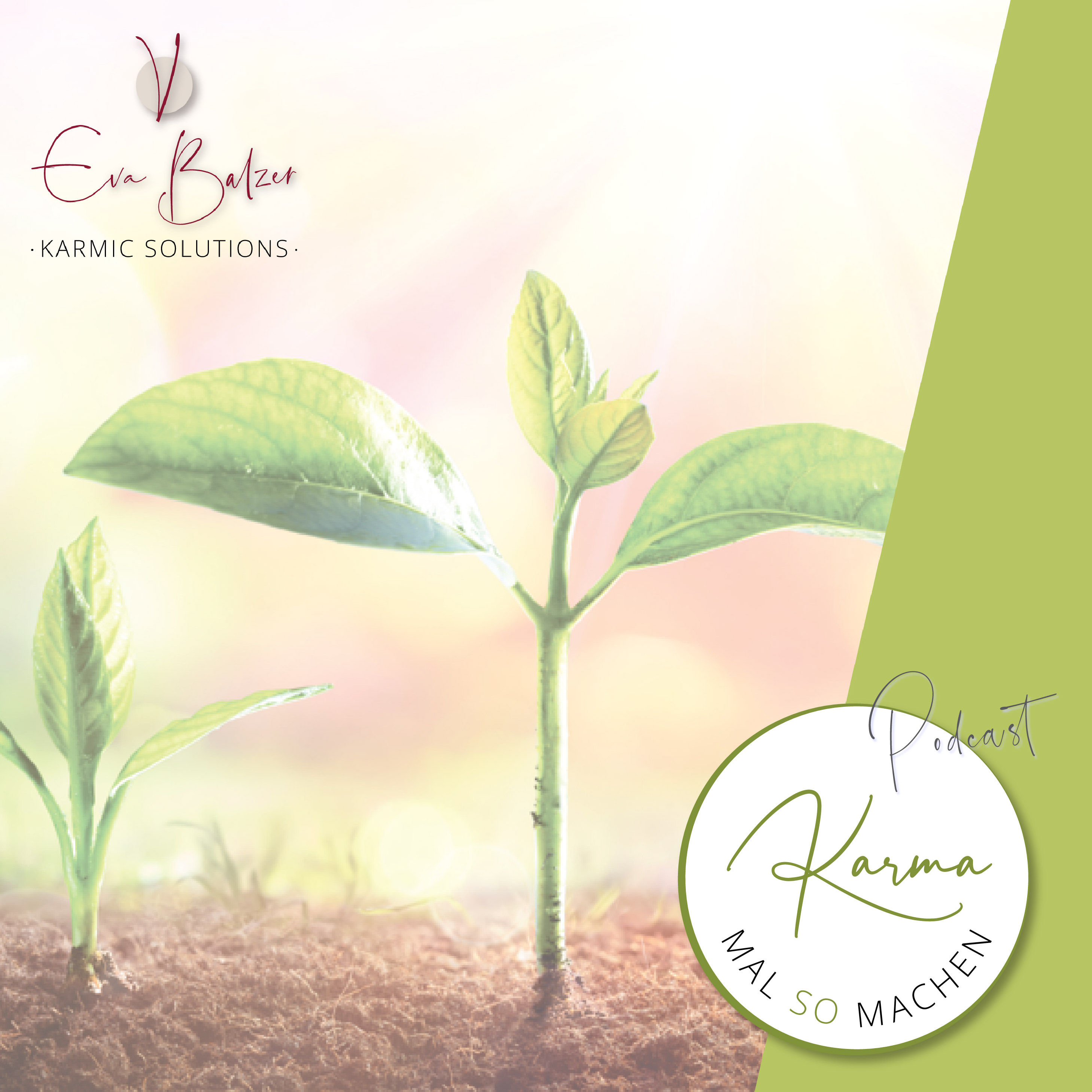 Folge 007 - Die Gesetze von Ursache und Wirkung verstehen