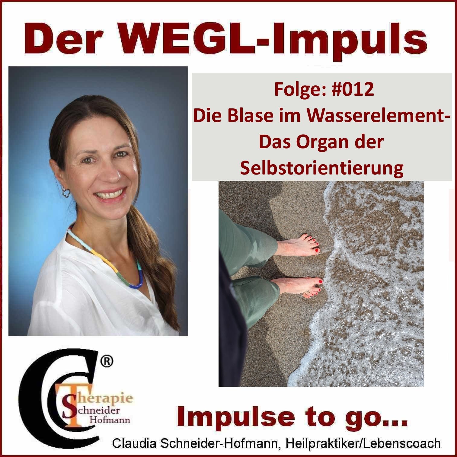 Folge #012 „Die Blase im Wasserelement, das Organ der Selbstorientierung“
