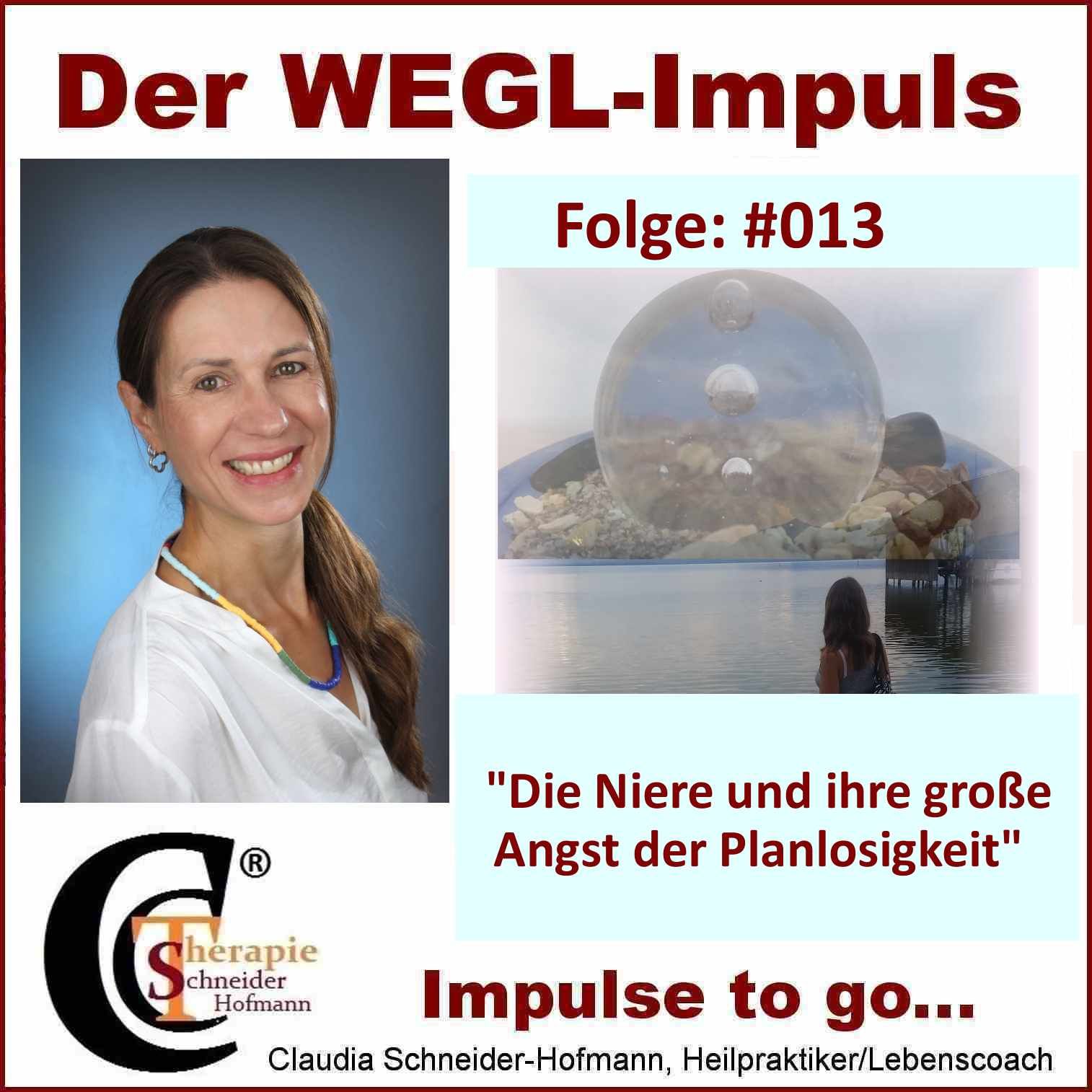 Folge #013 "Die Niere und ihre Angst der Planlosigkeit"