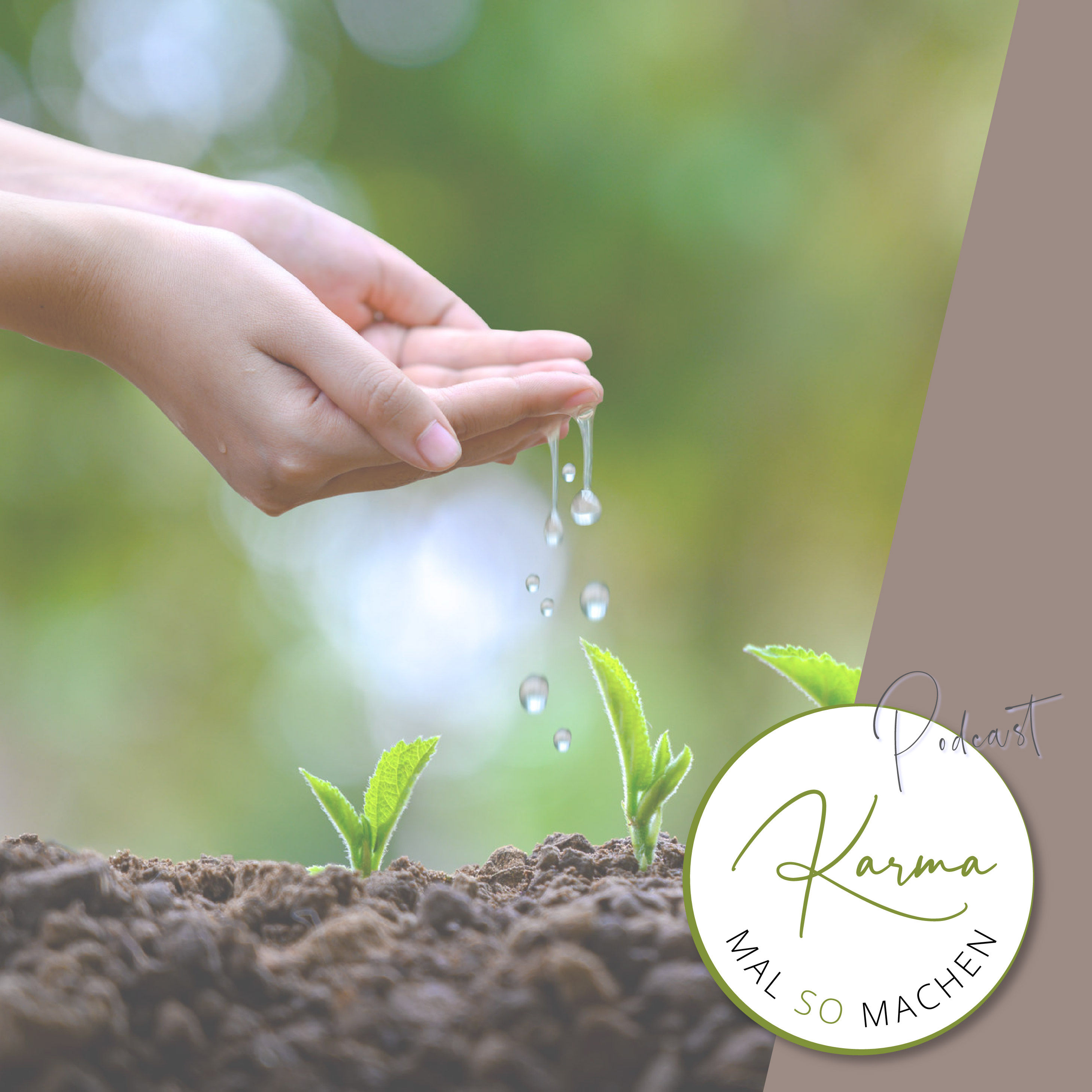 Folge 019 - Meditationsreihe, Teil II: Welche Samen pflanzen eine gute Meditation?