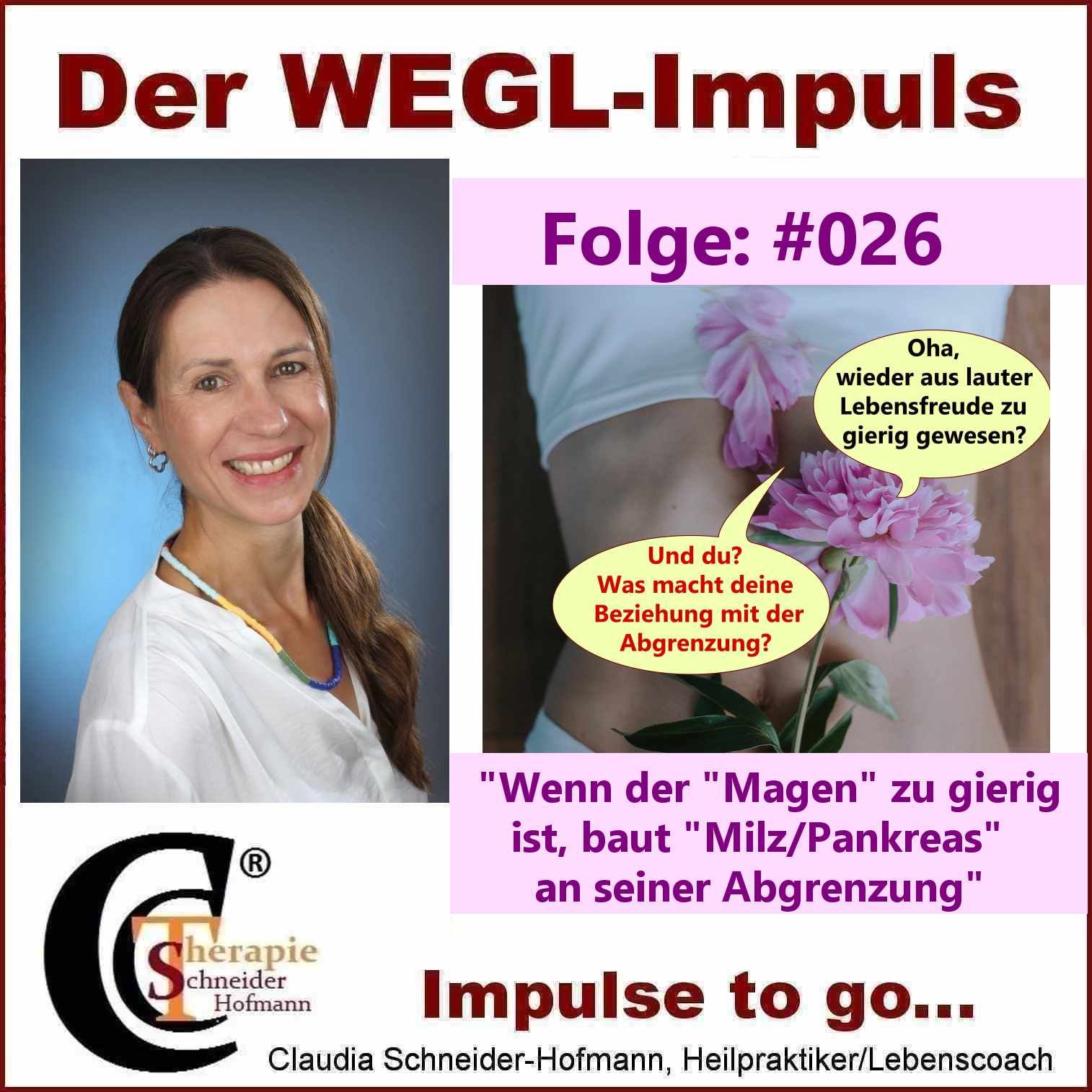 Folge #026 "Wenn der Magen zu gierig ist, baut Milz/Pankreas an seiner Abgrenzung"