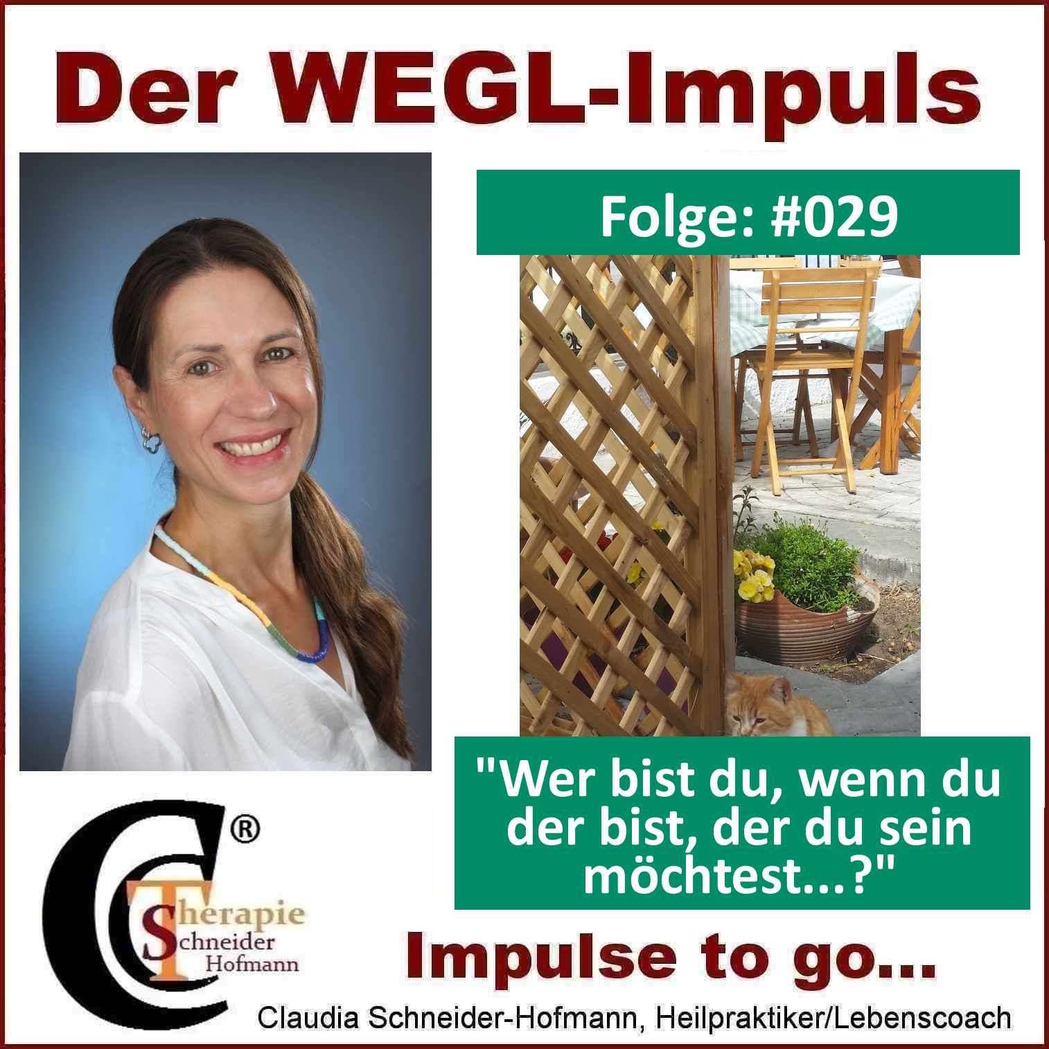 Folge: #029 "Wer bist du, wenn du der bist, der du sein möchtest…?“