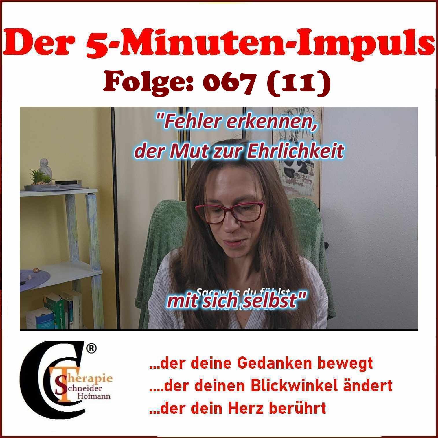 Folge #067 "Fehler erkennen, der Mut zur Ehrlichkeit mit sich selbst"