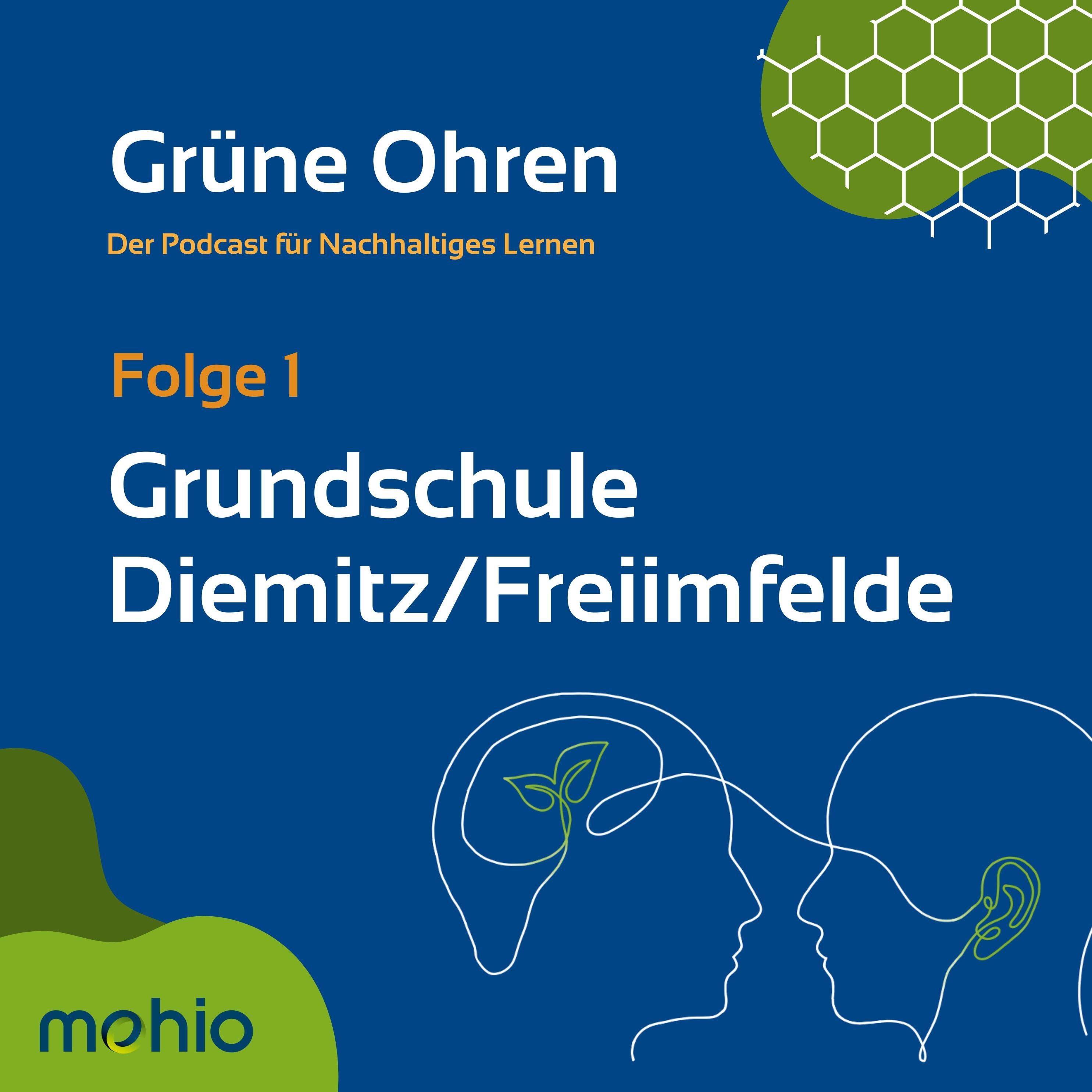 Folge 1 - Grundschule Diemitz/Freiimfelde