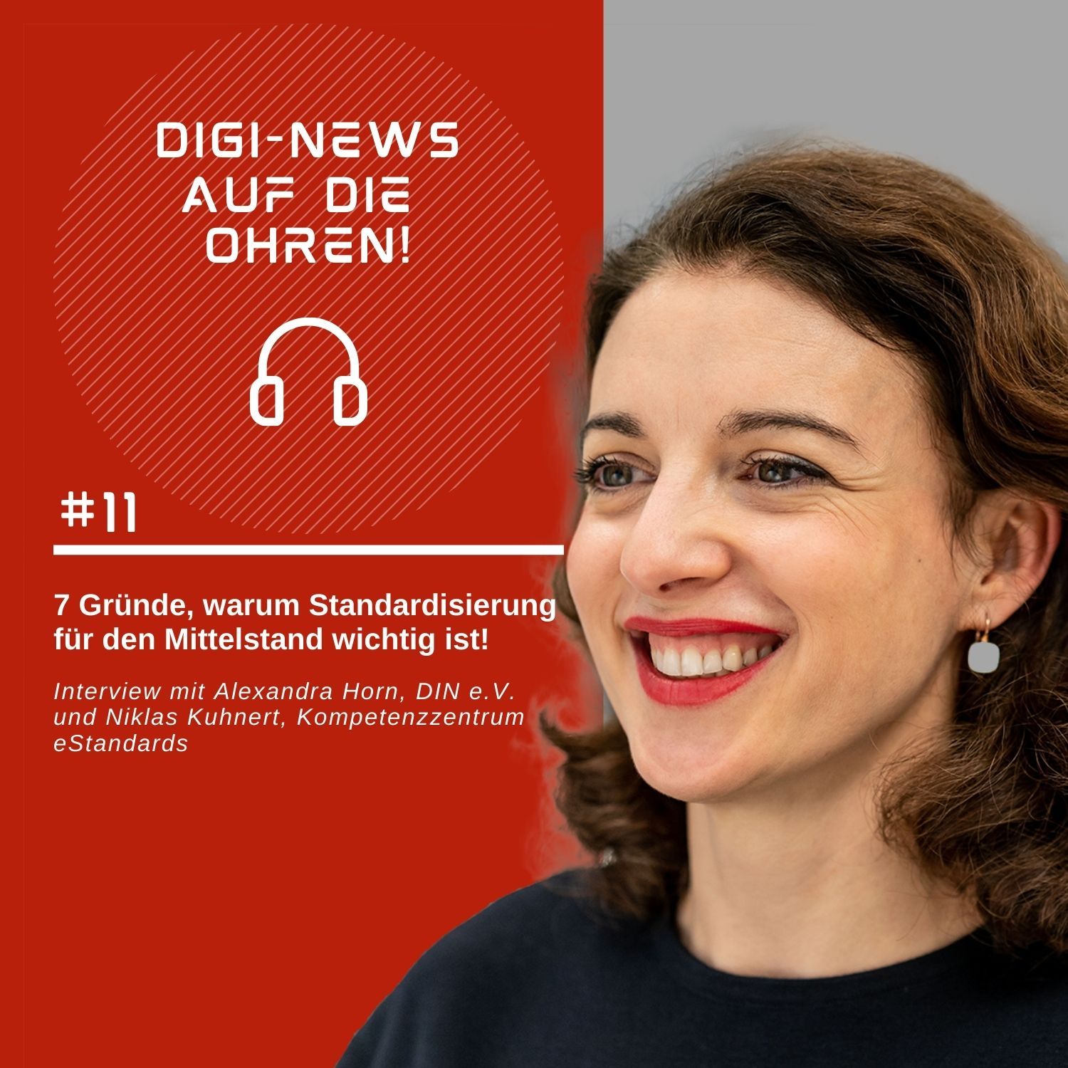 Folge 11 – Digi-News auf die Ohren! 7 Gründe, warum Standardisierung für den Mittelstand wichtig ist