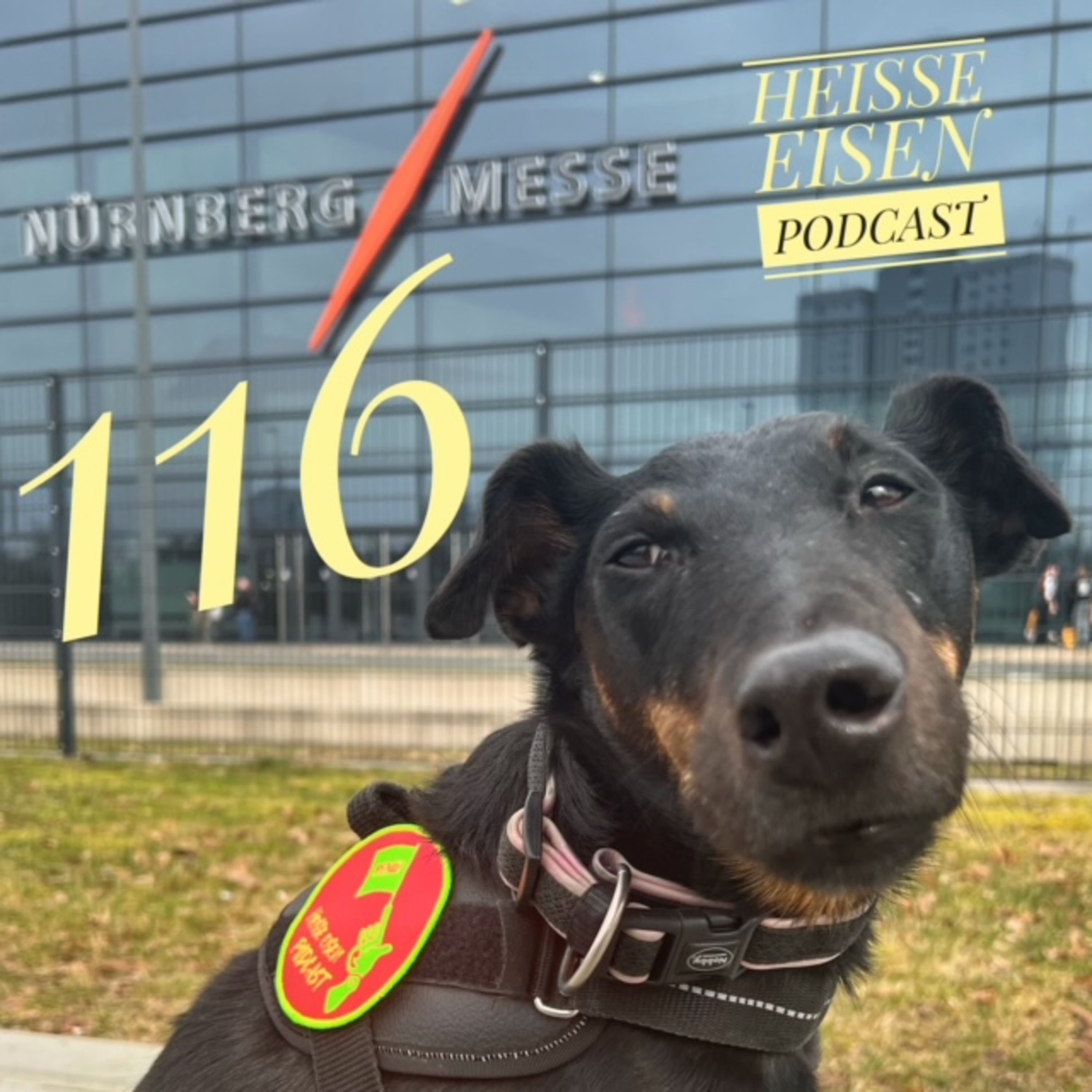 Folge 116 - Showtime