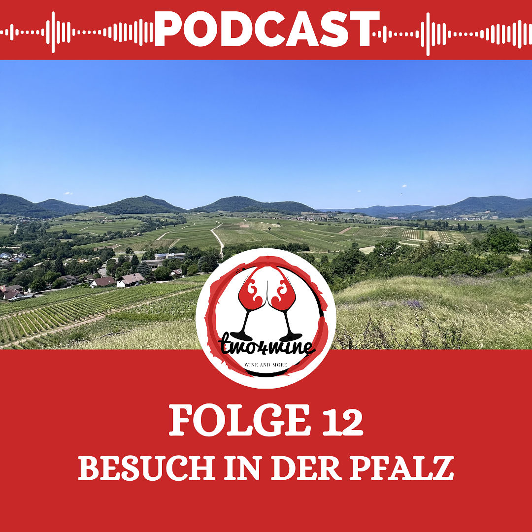 Folge 12 - Besuch in der Pfalz