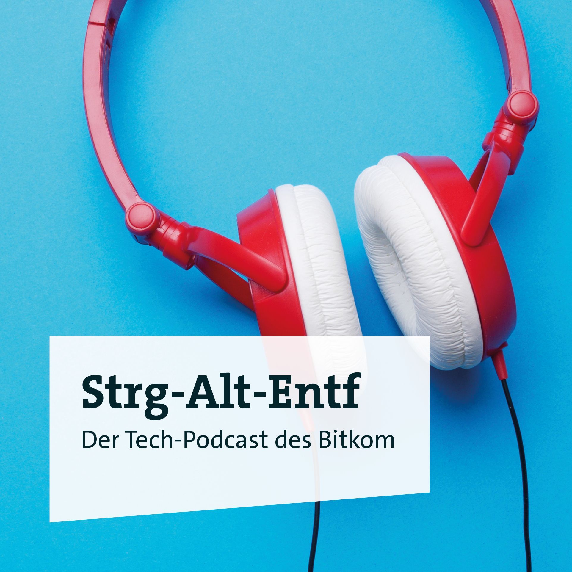 Folge 13.0 Digitalpolitische Ziele der FDP - Bitkom@eight mit Manuel Höferlin