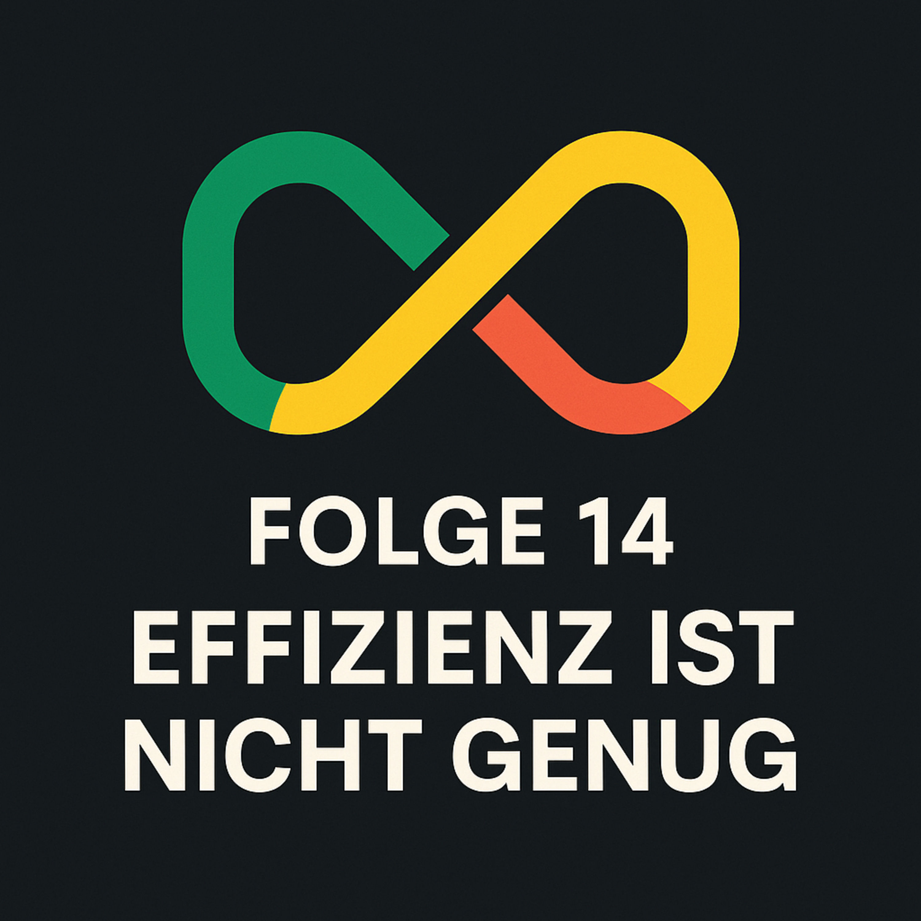 Folge 14 - Die mit der Effizienz