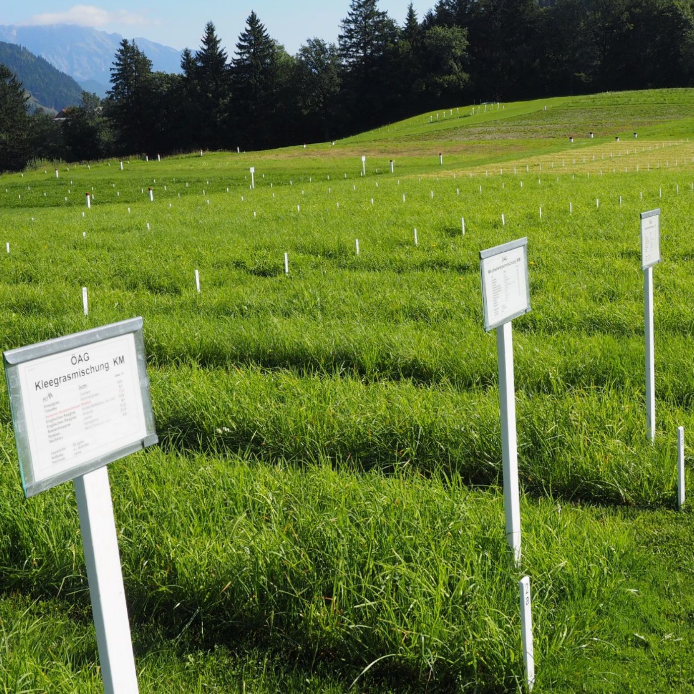 Folge 154: Die Grünlandmischung der Zukunft – Forschung trifft Praxis