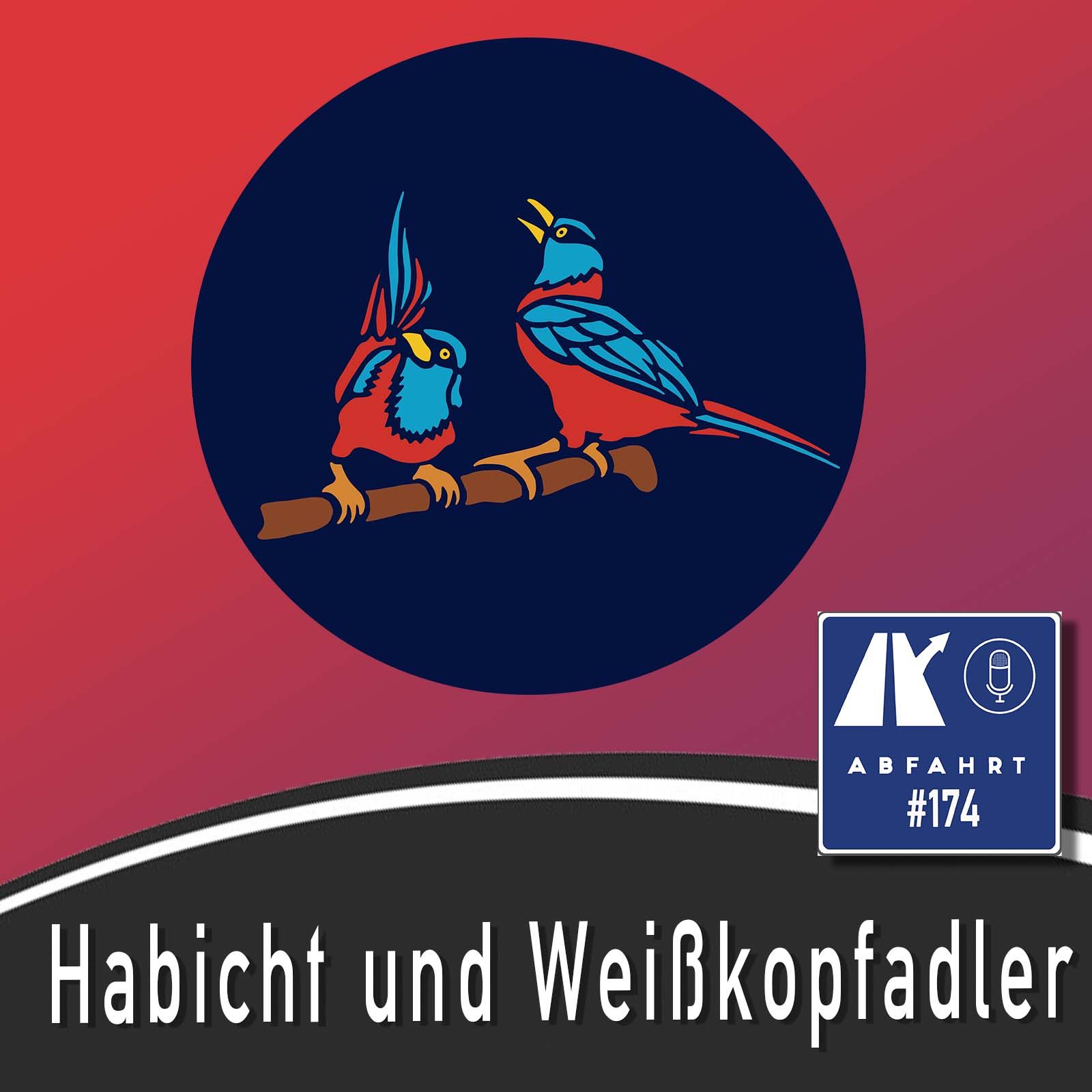 #174 - Habicht und Weißkopfadler