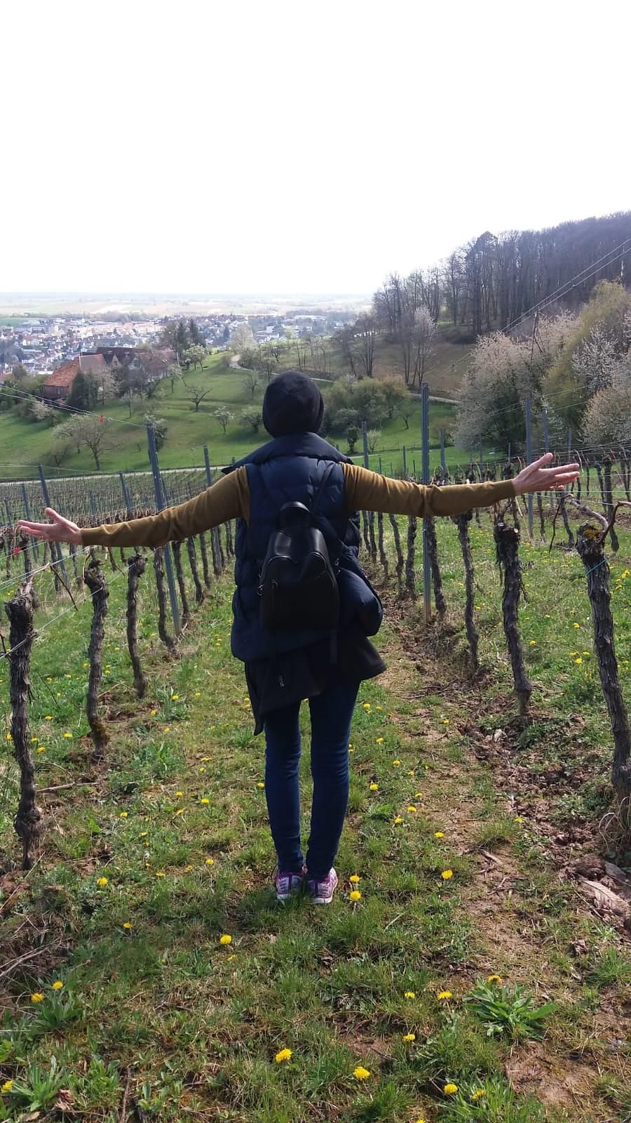 Folge 20: Meine Reise in die psychosomatische Reha und zurück.