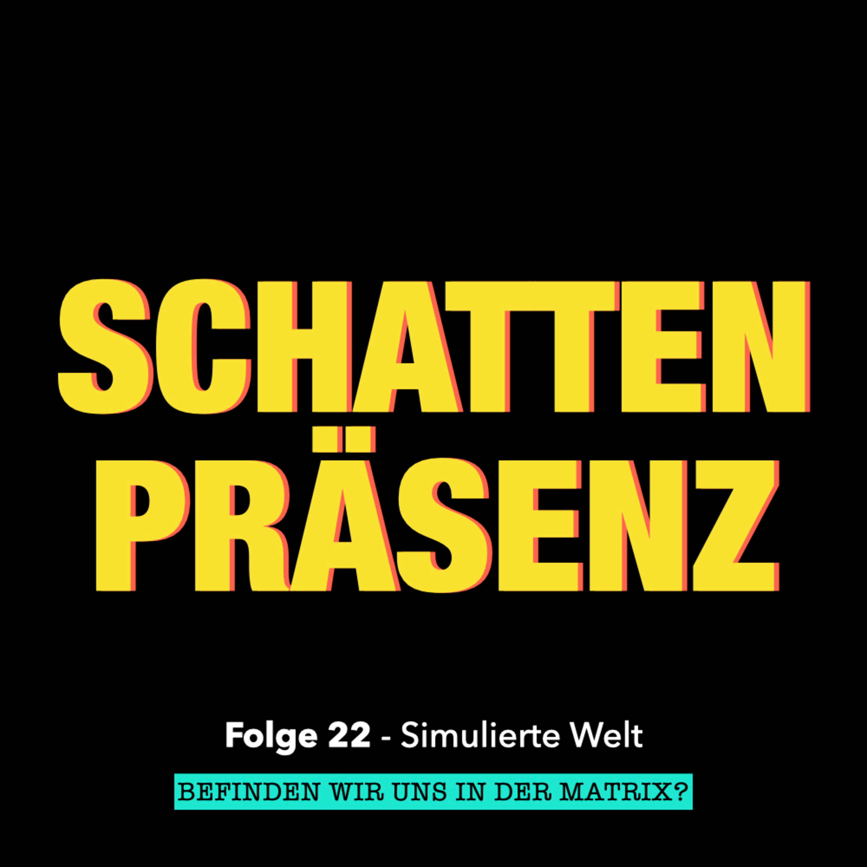 Folge 22: Simulierte Welt - Befinden wir uns in der Matrix?