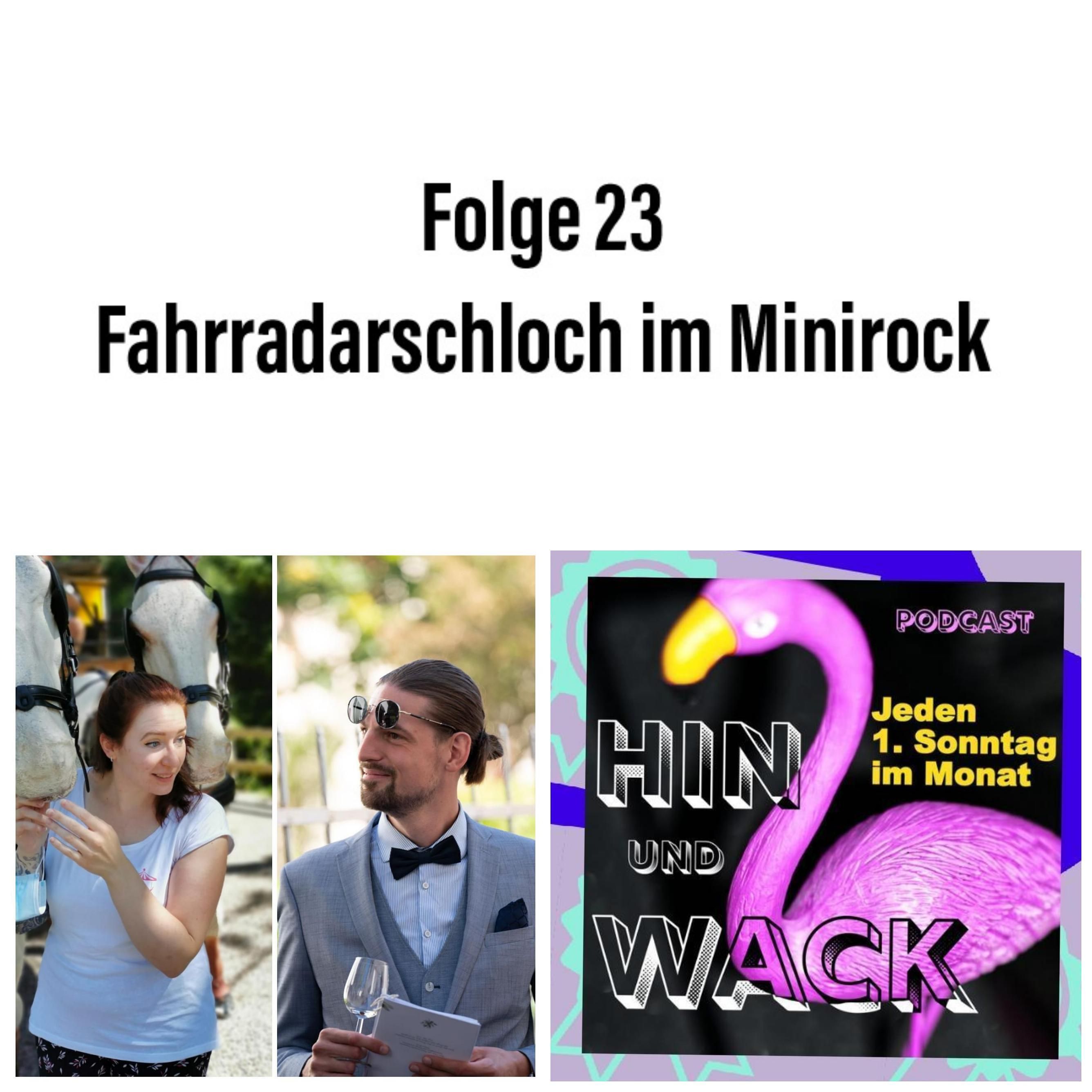 Folge 23 Fahrradarschloch im Minirock