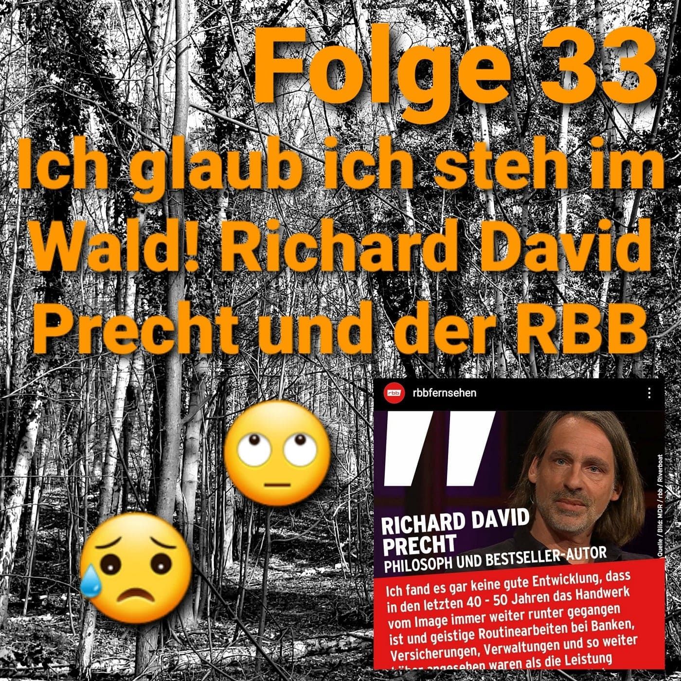 Folge 33 - Richard David Precht und der RBB