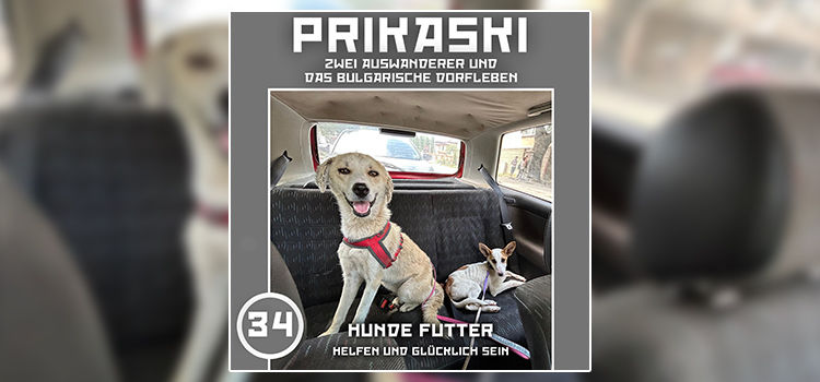 Folge 34: Hunde Futter – Helfen und glücklich sein