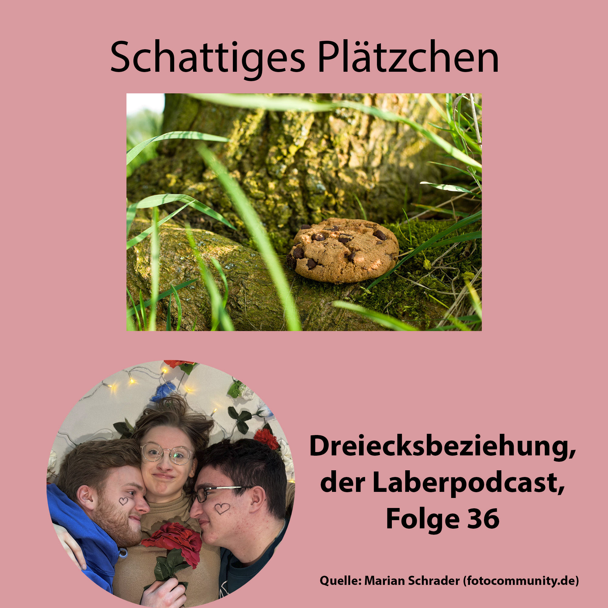 Folge 36 - Schattiges Plätzchen